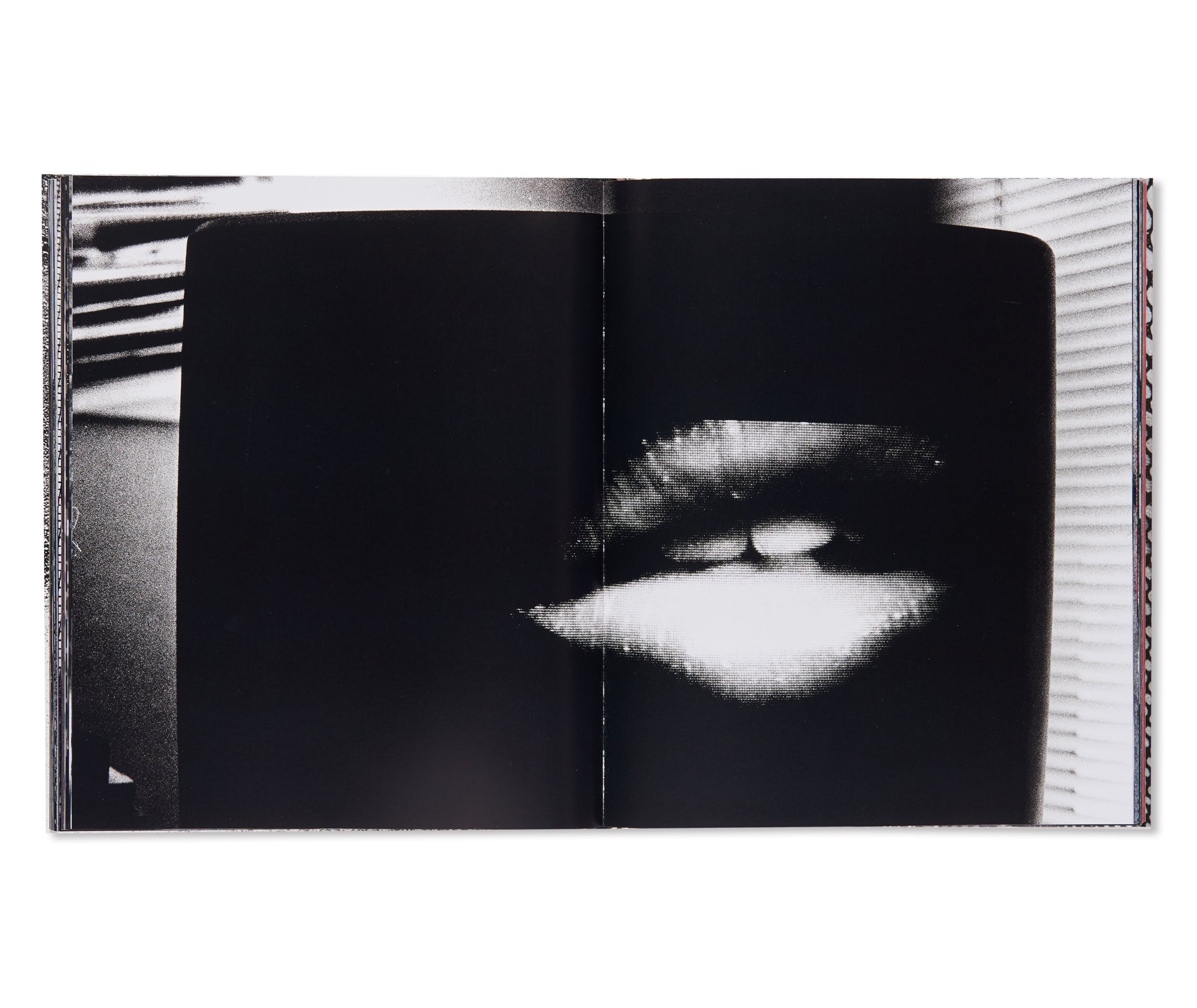 A DIARY - HASSELBLAD AWARD 2019 by Daido Moriyama