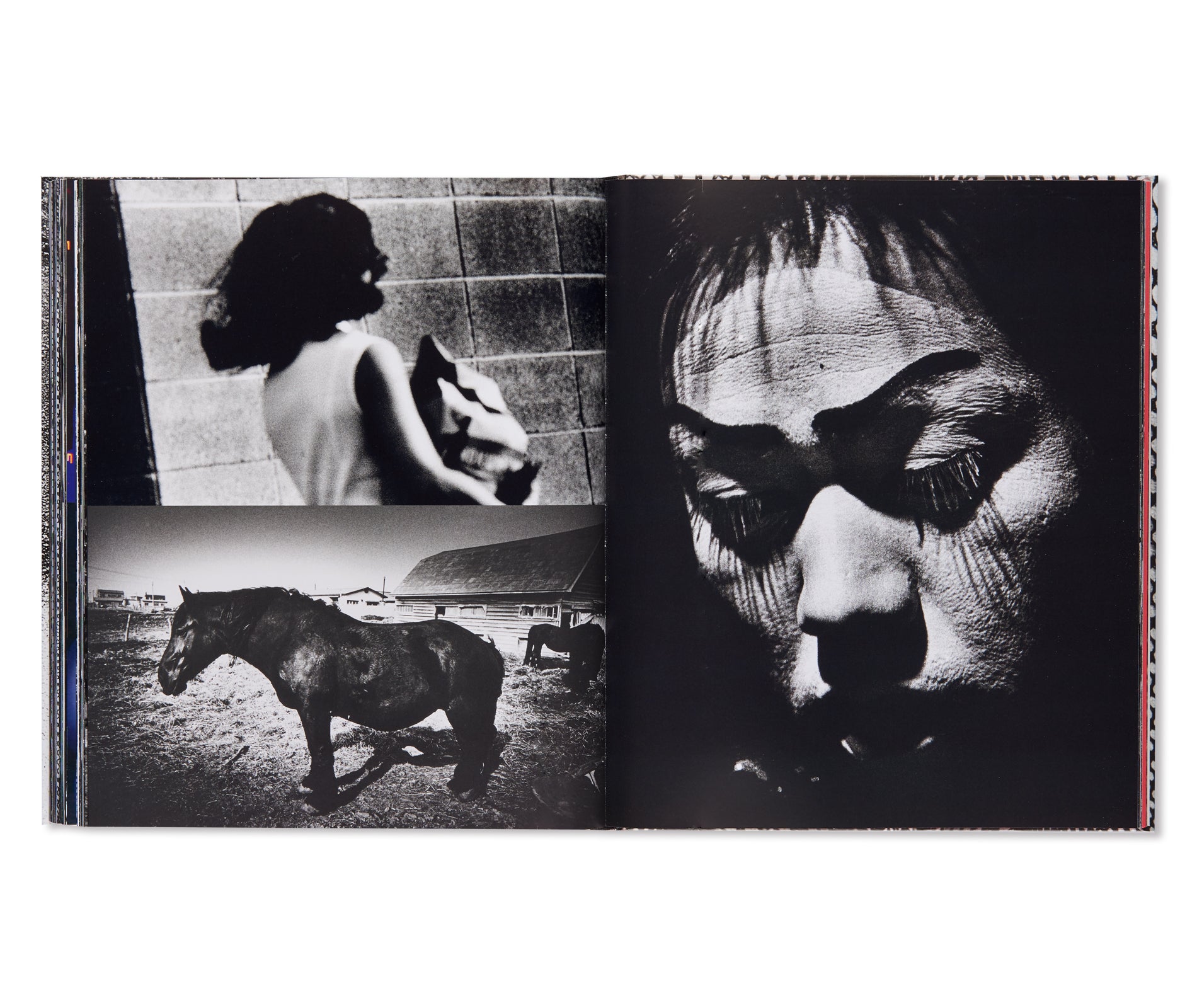 A DIARY - HASSELBLAD AWARD 2019 by Daido Moriyama