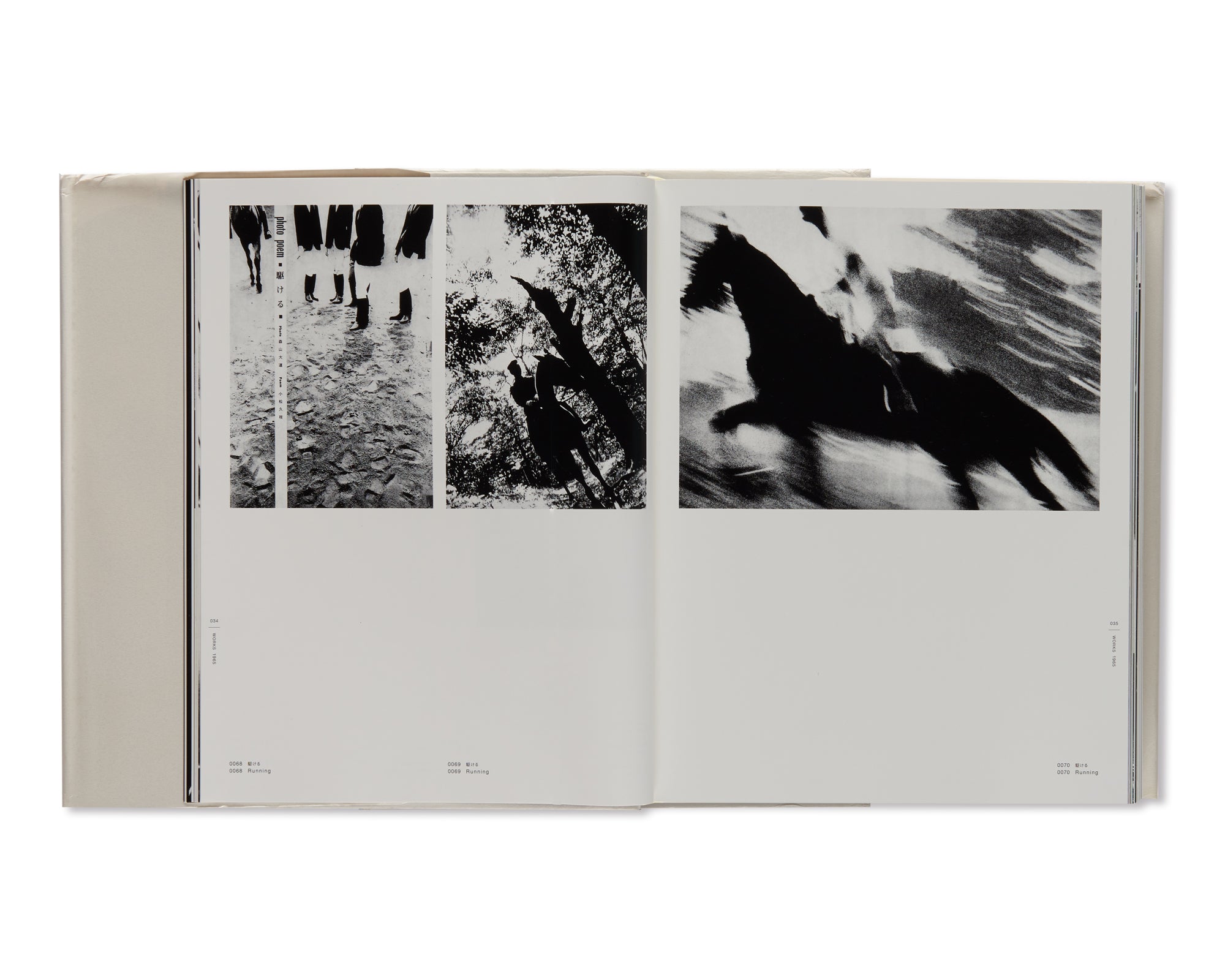 DAIDO MORIYAMA THE COMPLETE WORKS - A SET OF VOL. 1, 2, 3 AND 4 by Daido Moriyama