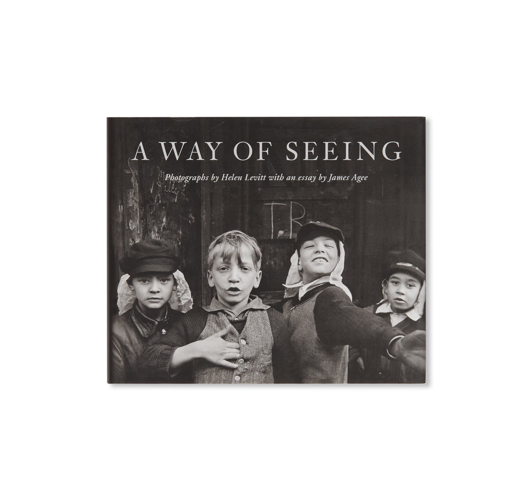 A WAY OF SEEING by Helen Levitt