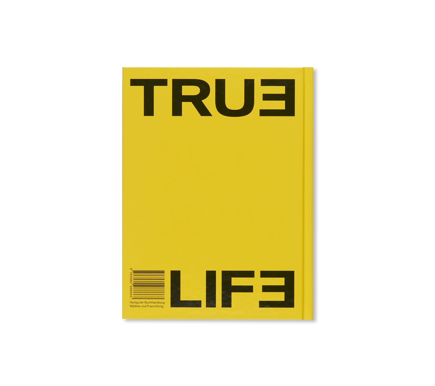 TRUE LIFE by Alex Da Corte