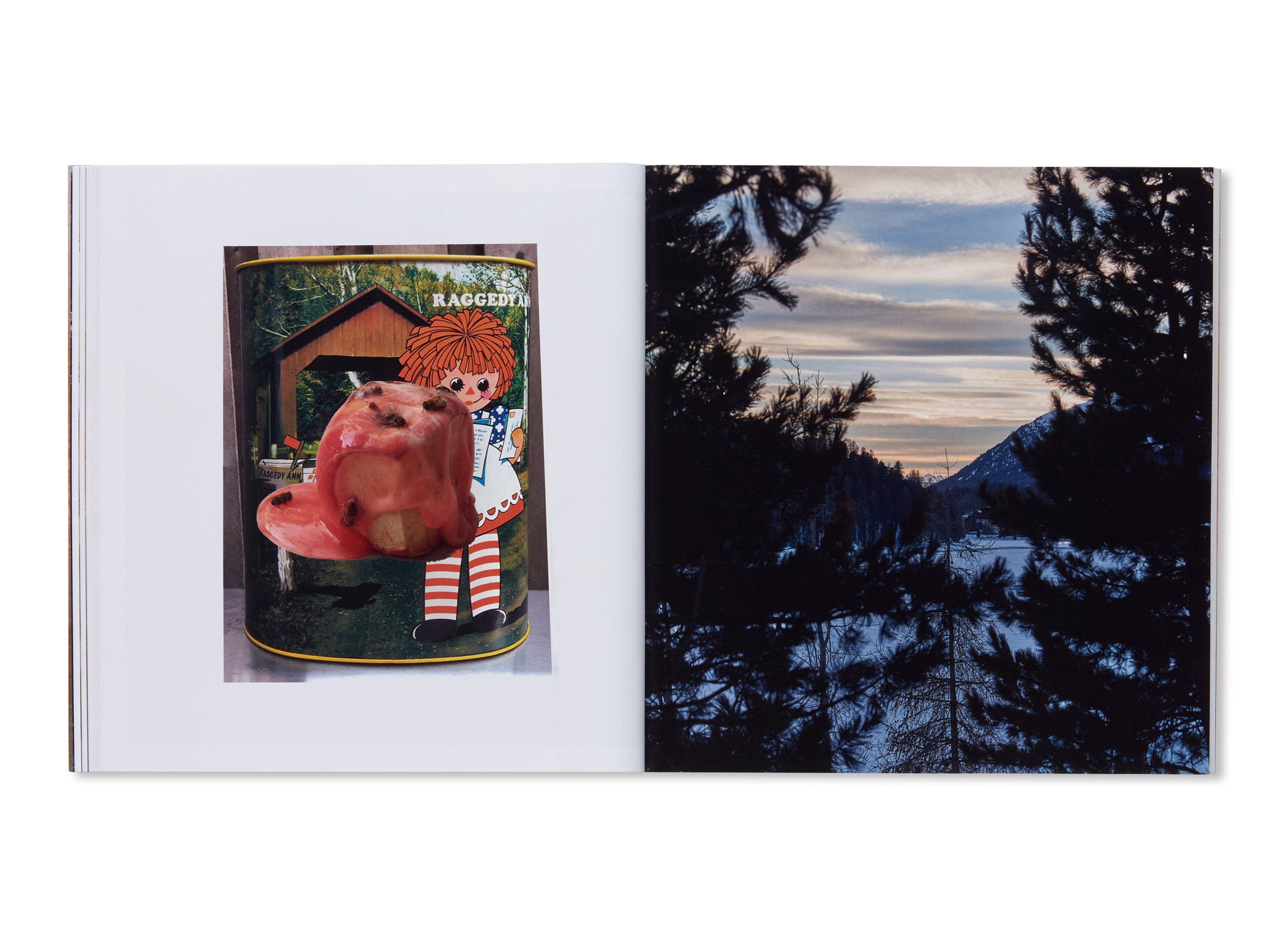 SOUVENIR ST. MORITZ #2 by Roe Ethridge