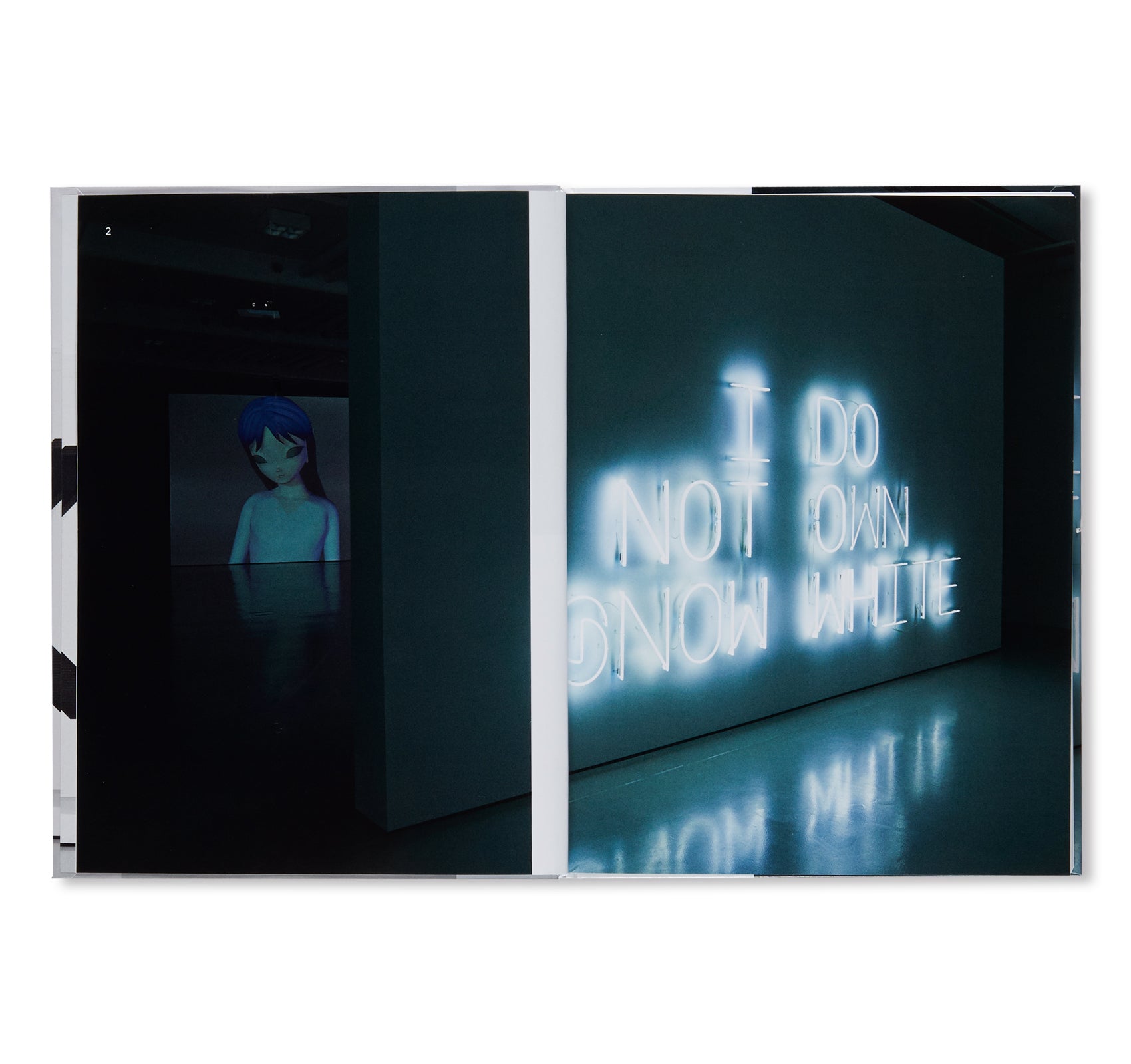 IMAGES - KASSEL, MUSEUM FRIDERICIANUM  by Pierre Huyghe, Wade Guyton, Seth Price, Mark Leckey, Philippe Parreno, Michel Majerus, Trisha Donnelly, Cory Arcangel, Sturtevant, Isa Genzken