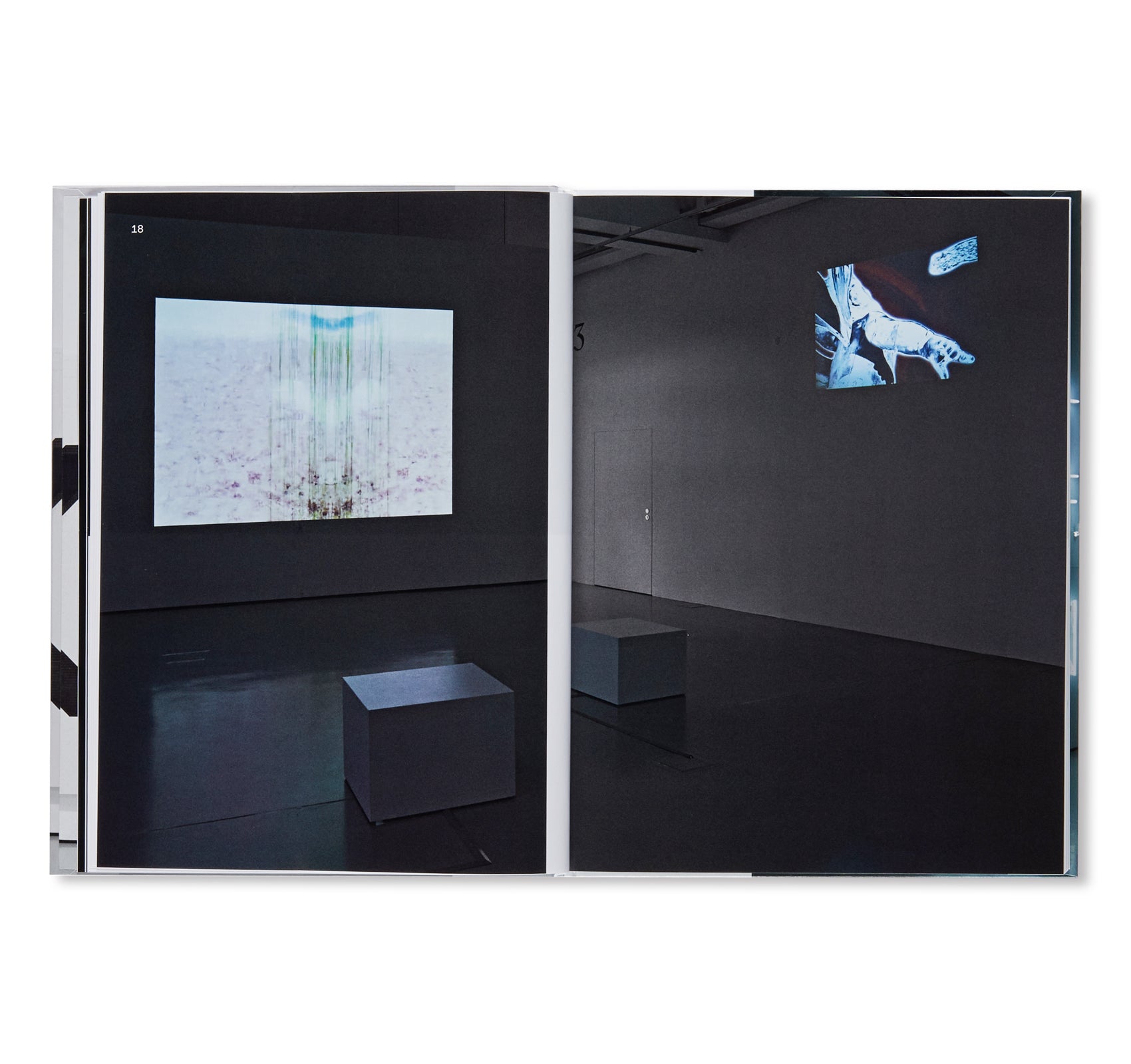 IMAGES - KASSEL, MUSEUM FRIDERICIANUM  by Pierre Huyghe, Wade Guyton, Seth Price, Mark Leckey, Philippe Parreno, Michel Majerus, Trisha Donnelly, Cory Arcangel, Sturtevant, Isa Genzken