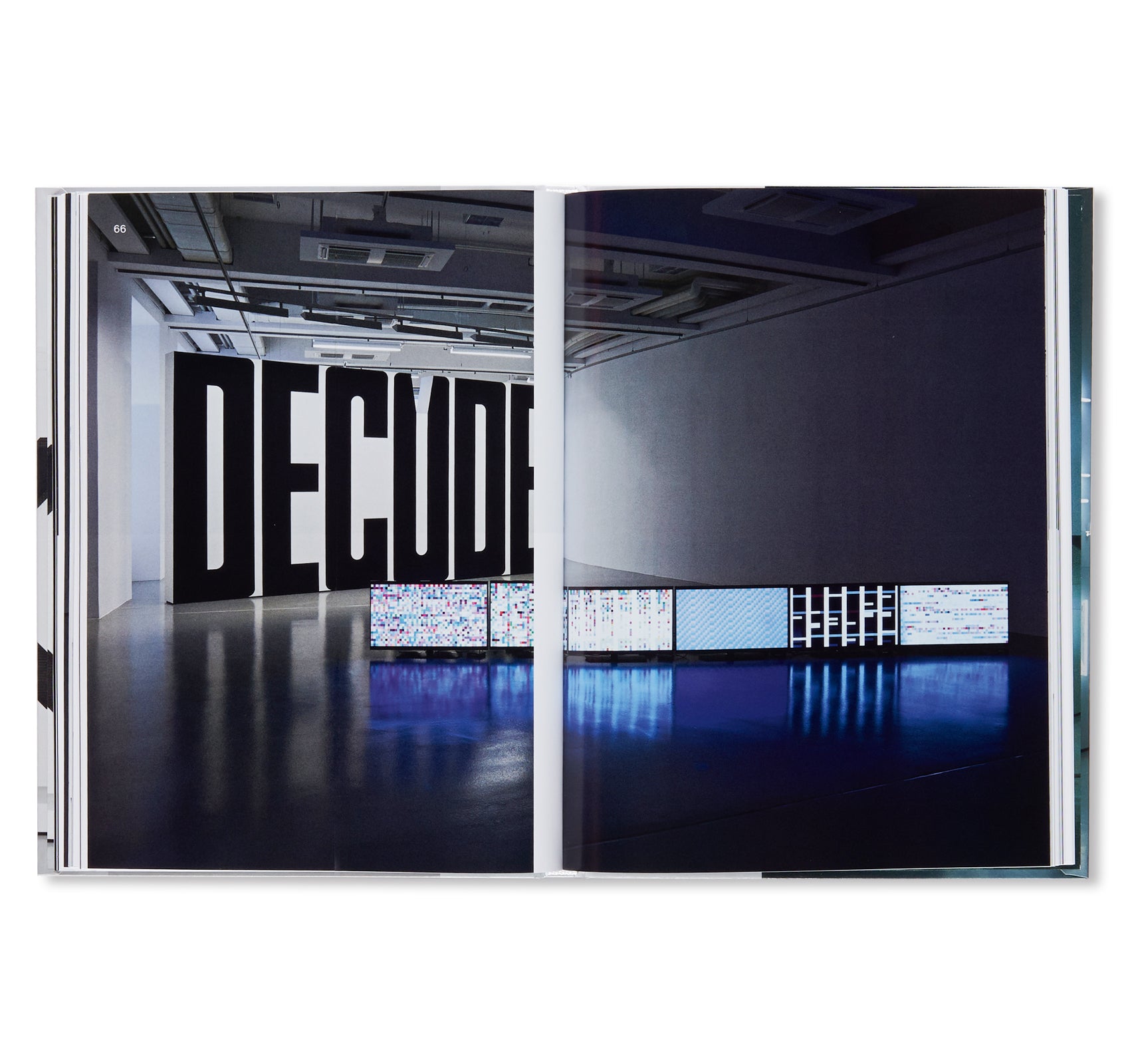 IMAGES - KASSEL, MUSEUM FRIDERICIANUM  by Pierre Huyghe, Wade Guyton, Seth Price, Mark Leckey, Philippe Parreno, Michel Majerus, Trisha Donnelly, Cory Arcangel, Sturtevant, Isa Genzken