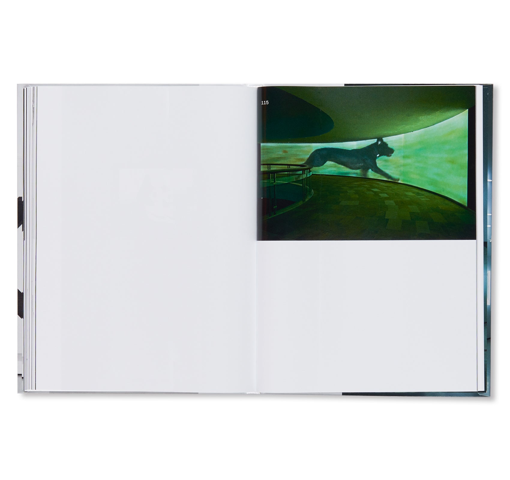 IMAGES - KASSEL, MUSEUM FRIDERICIANUM  by Pierre Huyghe, Wade Guyton, Seth Price, Mark Leckey, Philippe Parreno, Michel Majerus, Trisha Donnelly, Cory Arcangel, Sturtevant, Isa Genzken