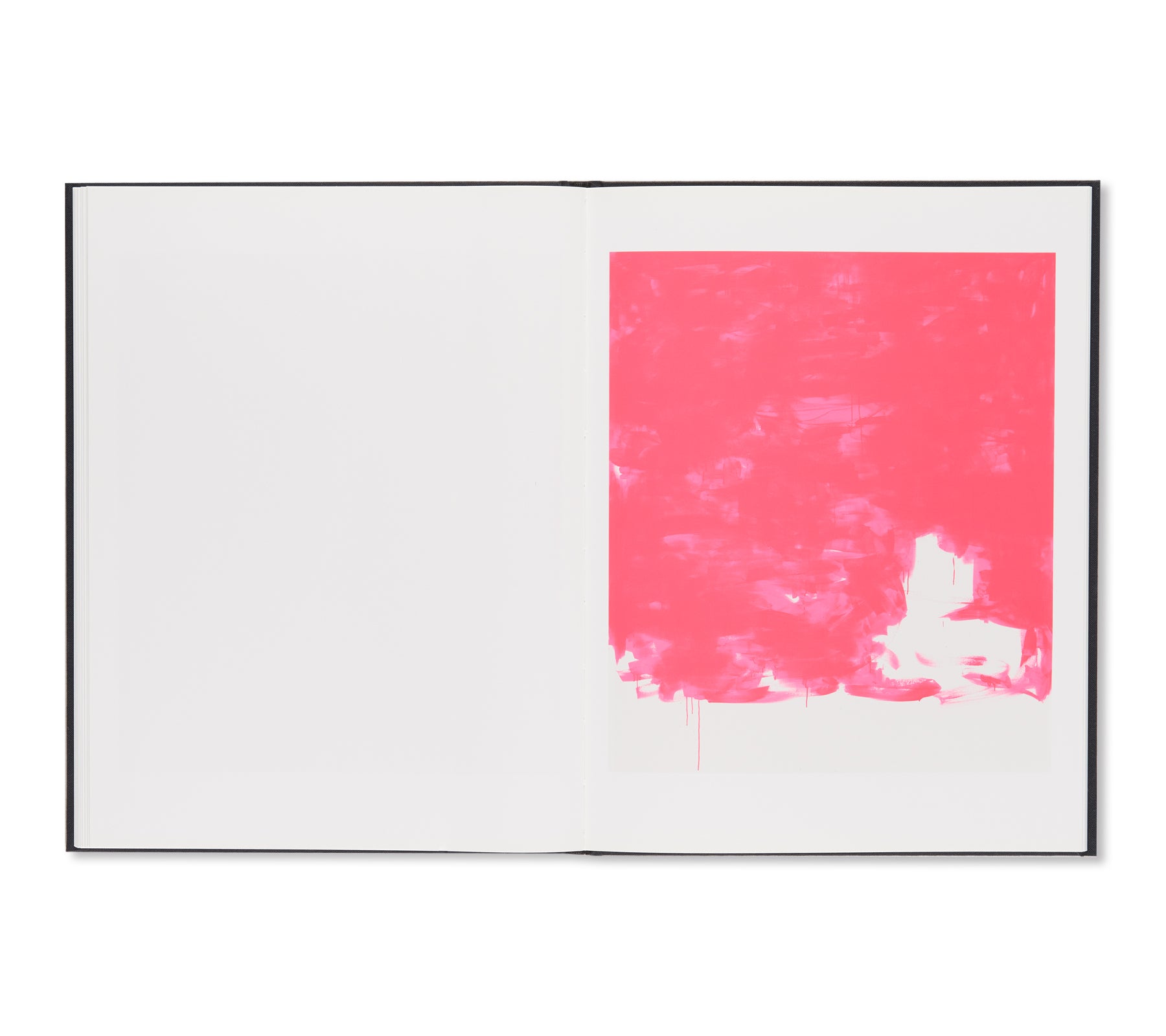 STAINLESS STEEL / FLUORESCENT PINK by Gardar Eide Einarsson