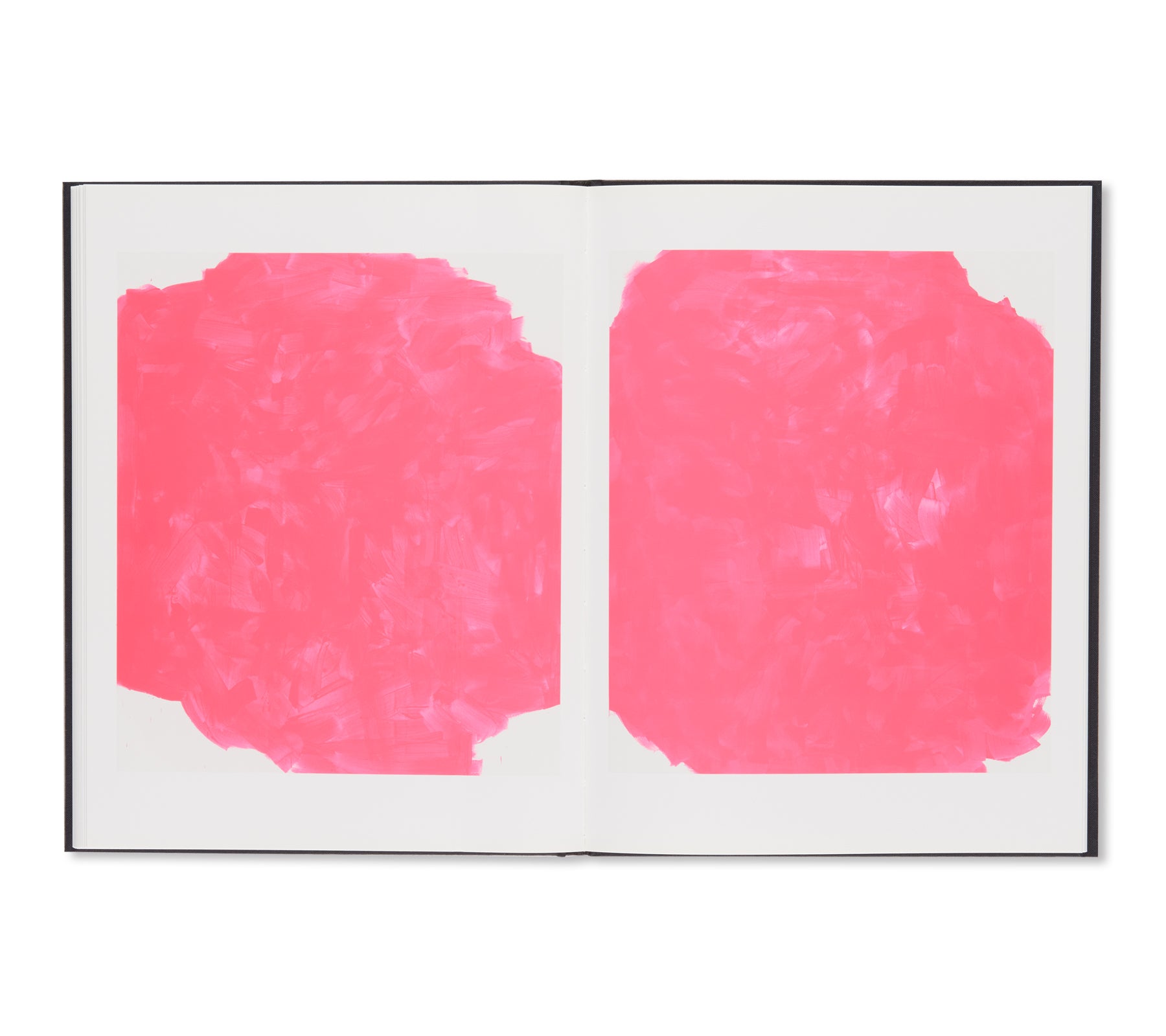 STAINLESS STEEL / FLUORESCENT PINK by Gardar Eide Einarsson