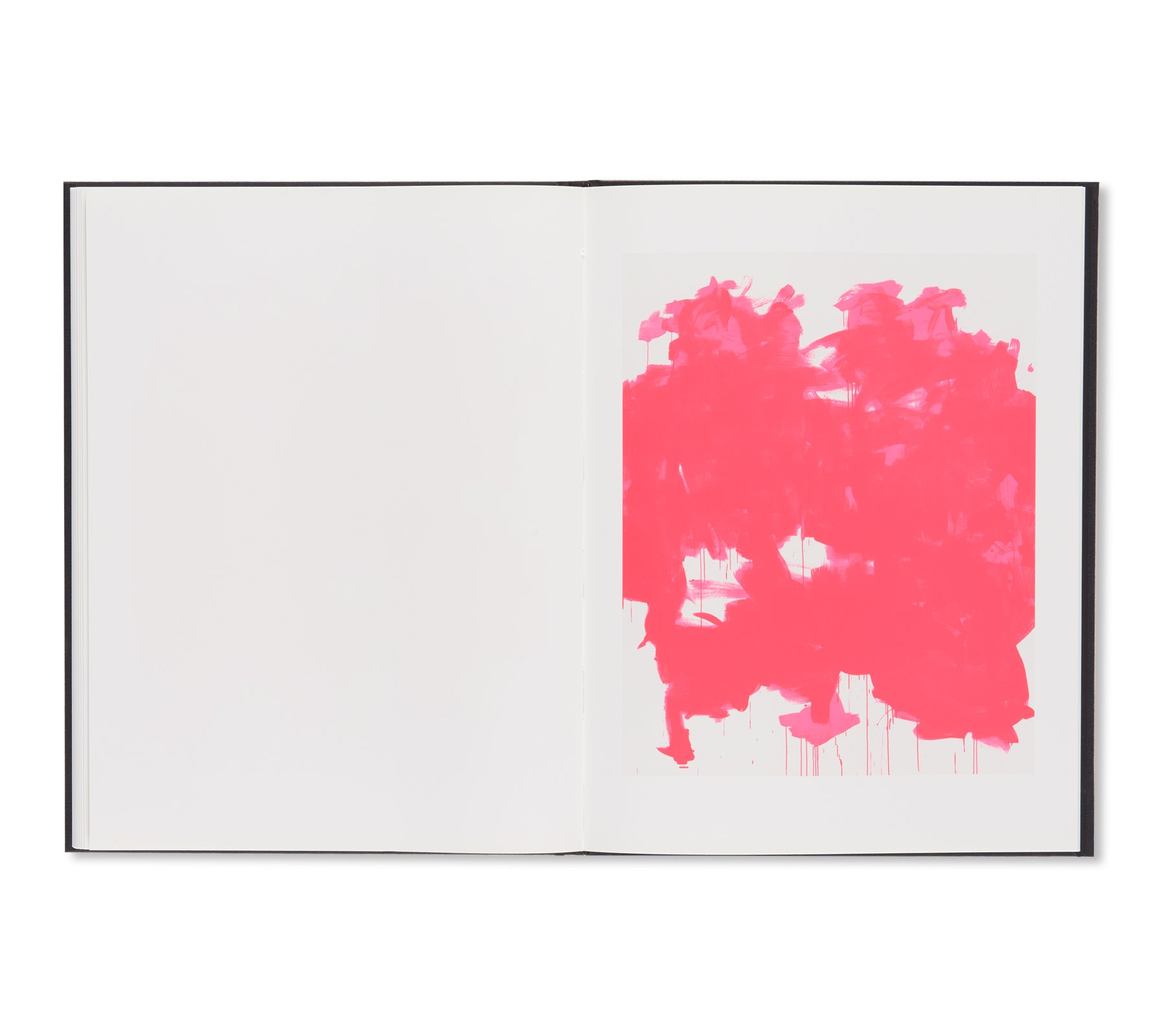 STAINLESS STEEL / FLUORESCENT PINK by Gardar Eide Einarsson