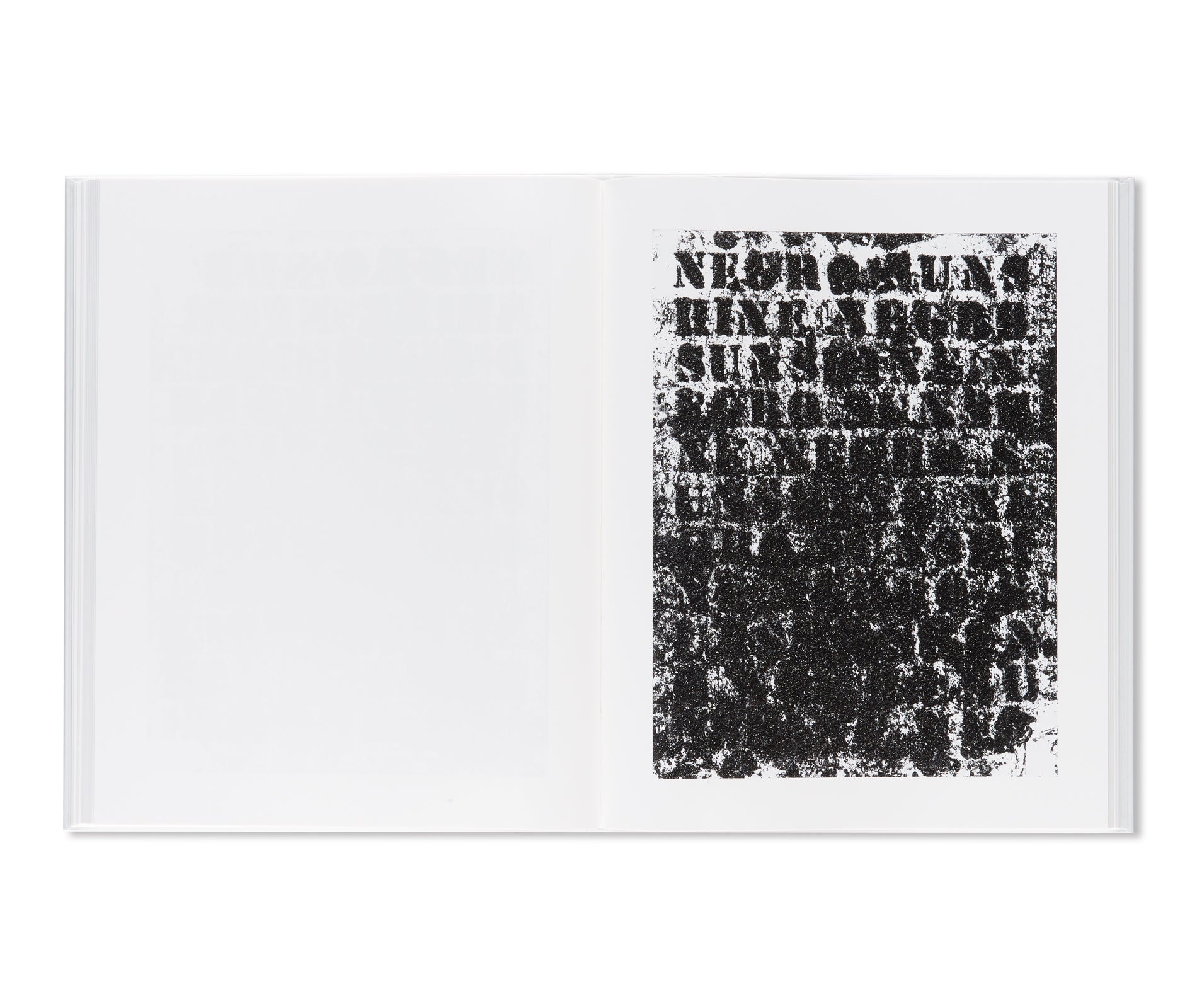 黒人の太陽 / NEGRO SUNSHINE by Glenn Ligon