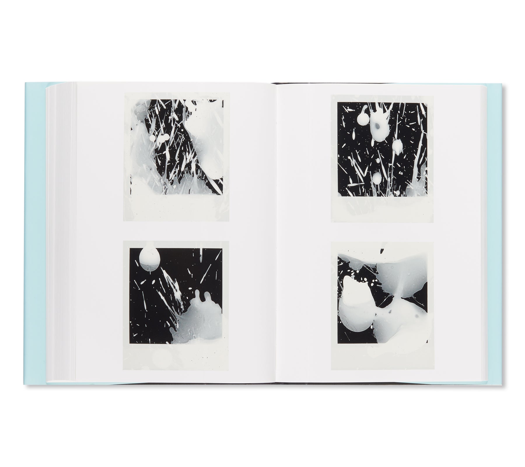 POLART by Nobuyoshi Araki