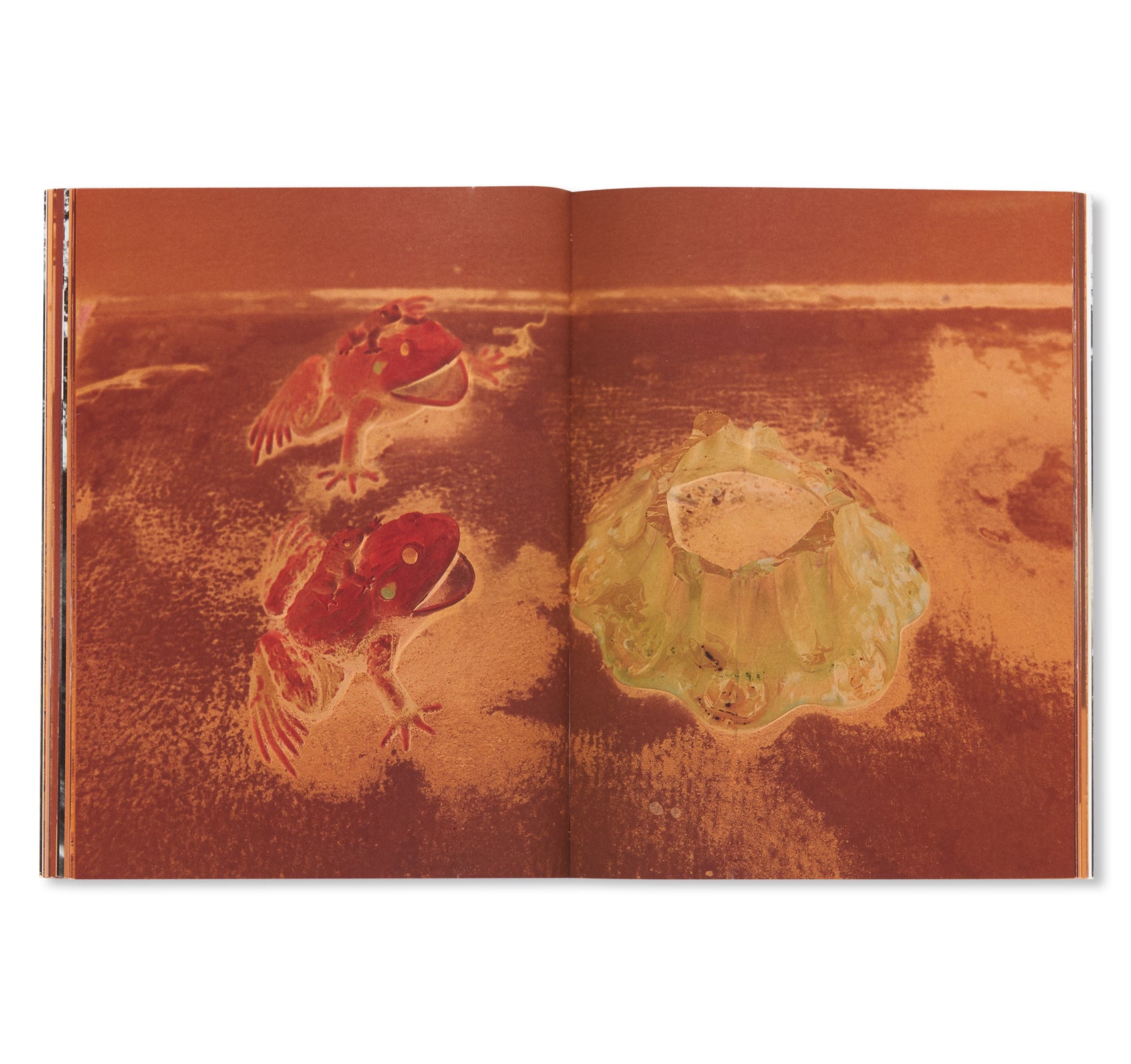 ネガエロポリス 右眼墓地 / NEGAEROPOLIS UGANBOCHI by Nobuyoshi Araki