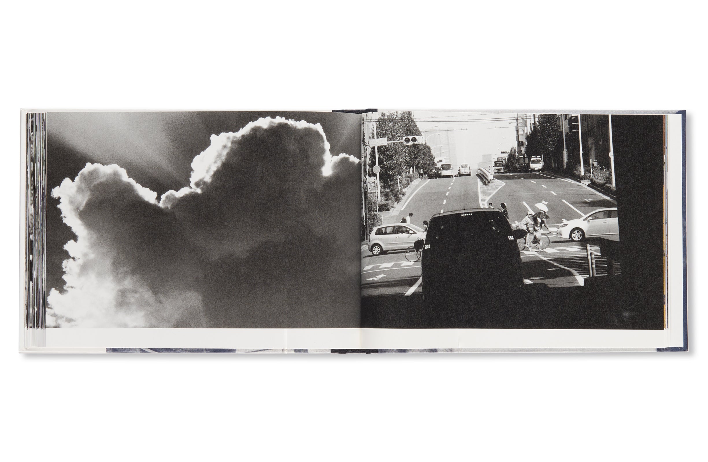 彼岸 / HIGAN by Nobuyoshi Araki