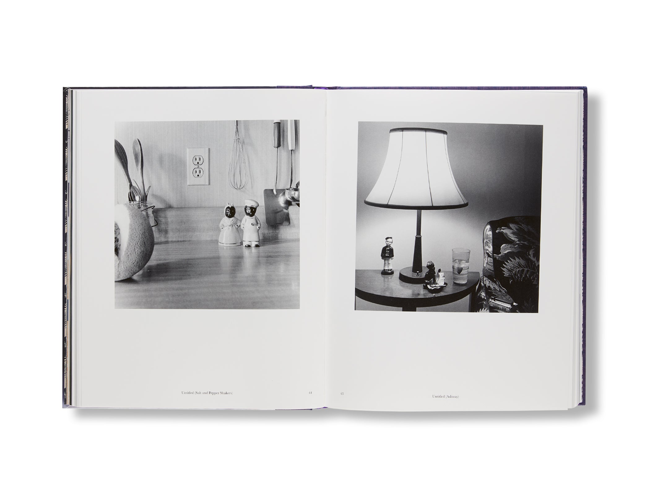 A GREAT TURN IN THE POSSIBLE by Carrie Mae Weems