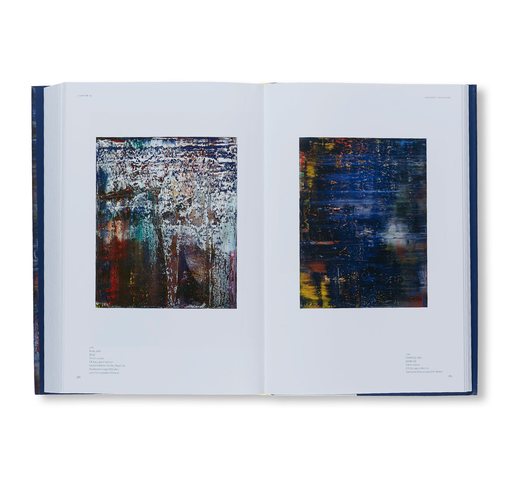 GERHARD RICHTER LIFE AND WORK: IN PAINTING THINKING IS PAINTING by Gerhard Richter