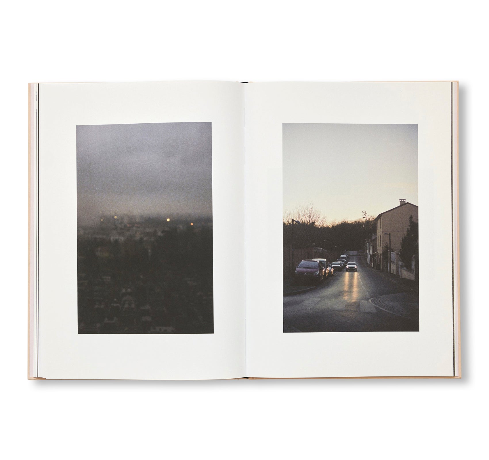 THE CLOUD, THE BIRD AND THE PUDDLE by Ola Rindal [SIGNED]