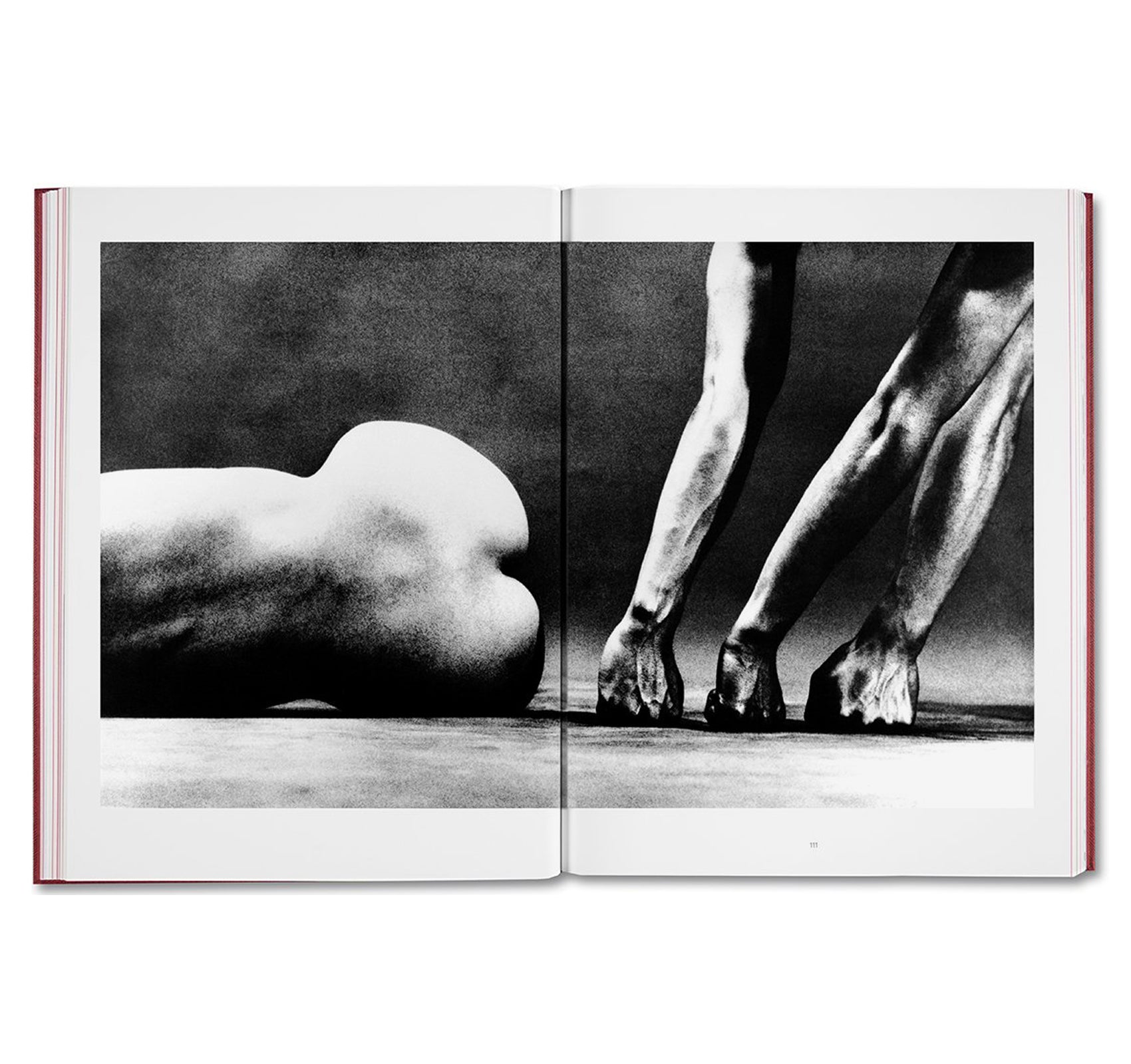 EIKOH HOSOE by Yasufumi Nakamori [JAPANESE EDITION]