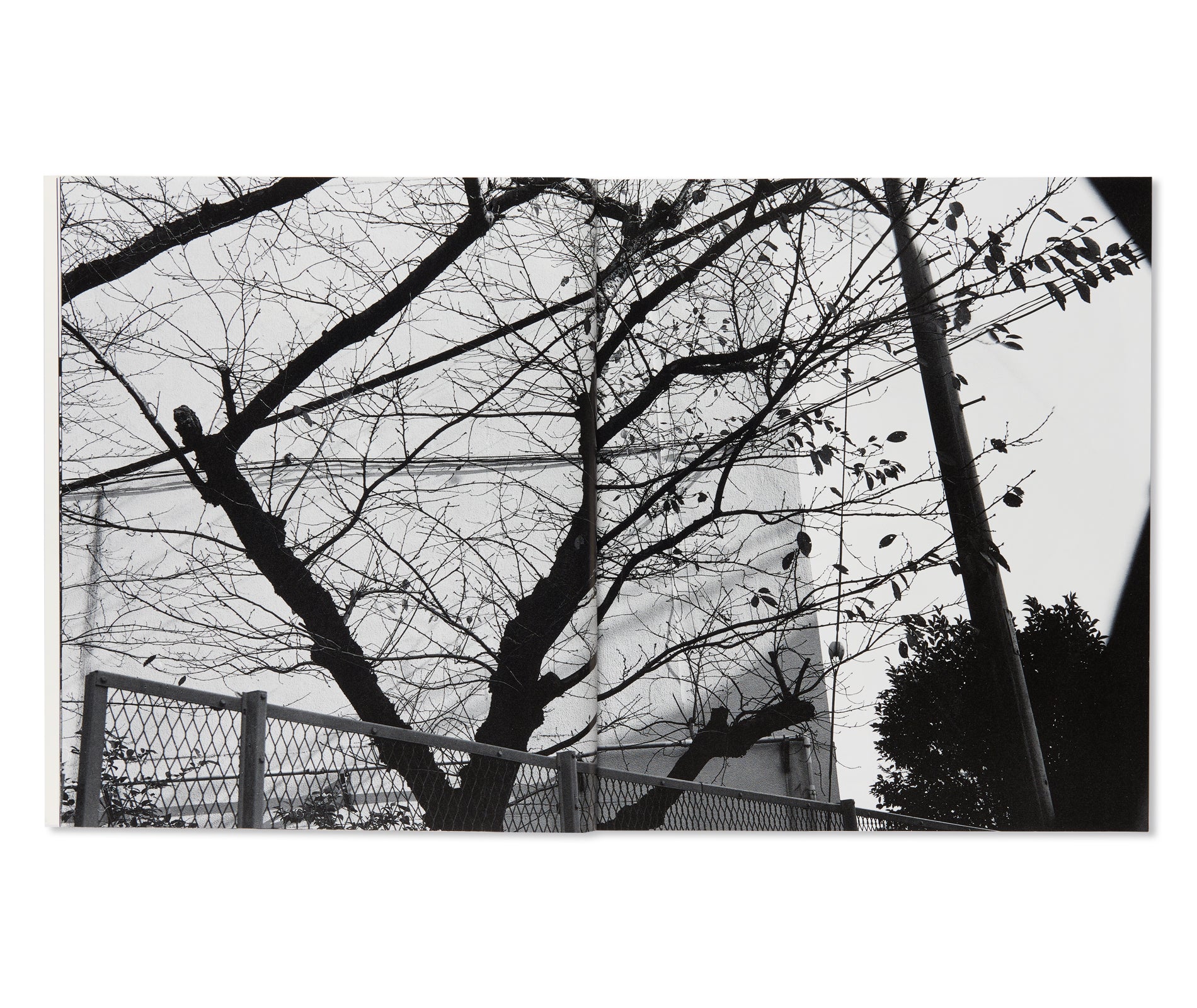 流石 / RYU U SE KI - HYSTERIC No.10 by Nobuyoshi Araki