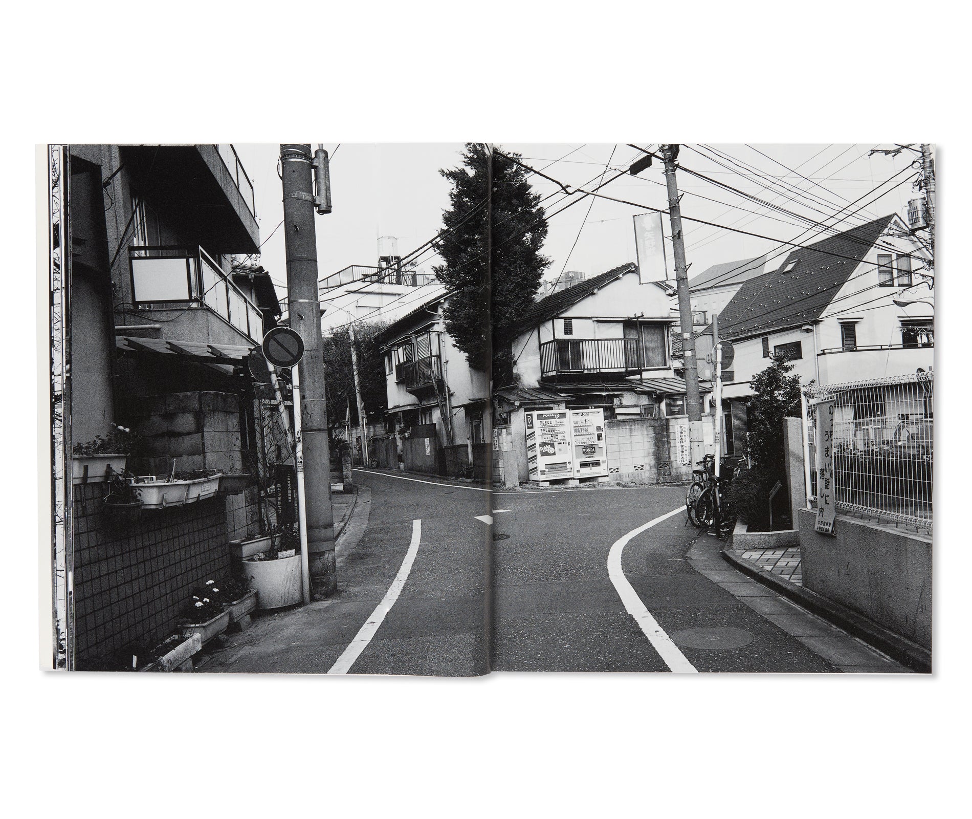 流石 / RYU U SE KI - HYSTERIC No.10 by Nobuyoshi Araki