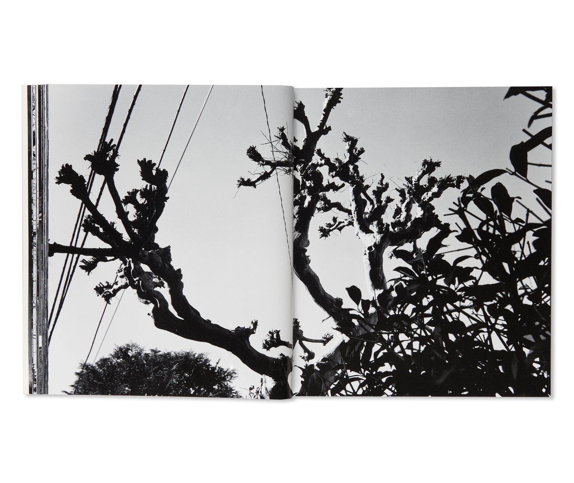 流石 / RYU U SE KI - HYSTERIC No.10 by Nobuyoshi Araki