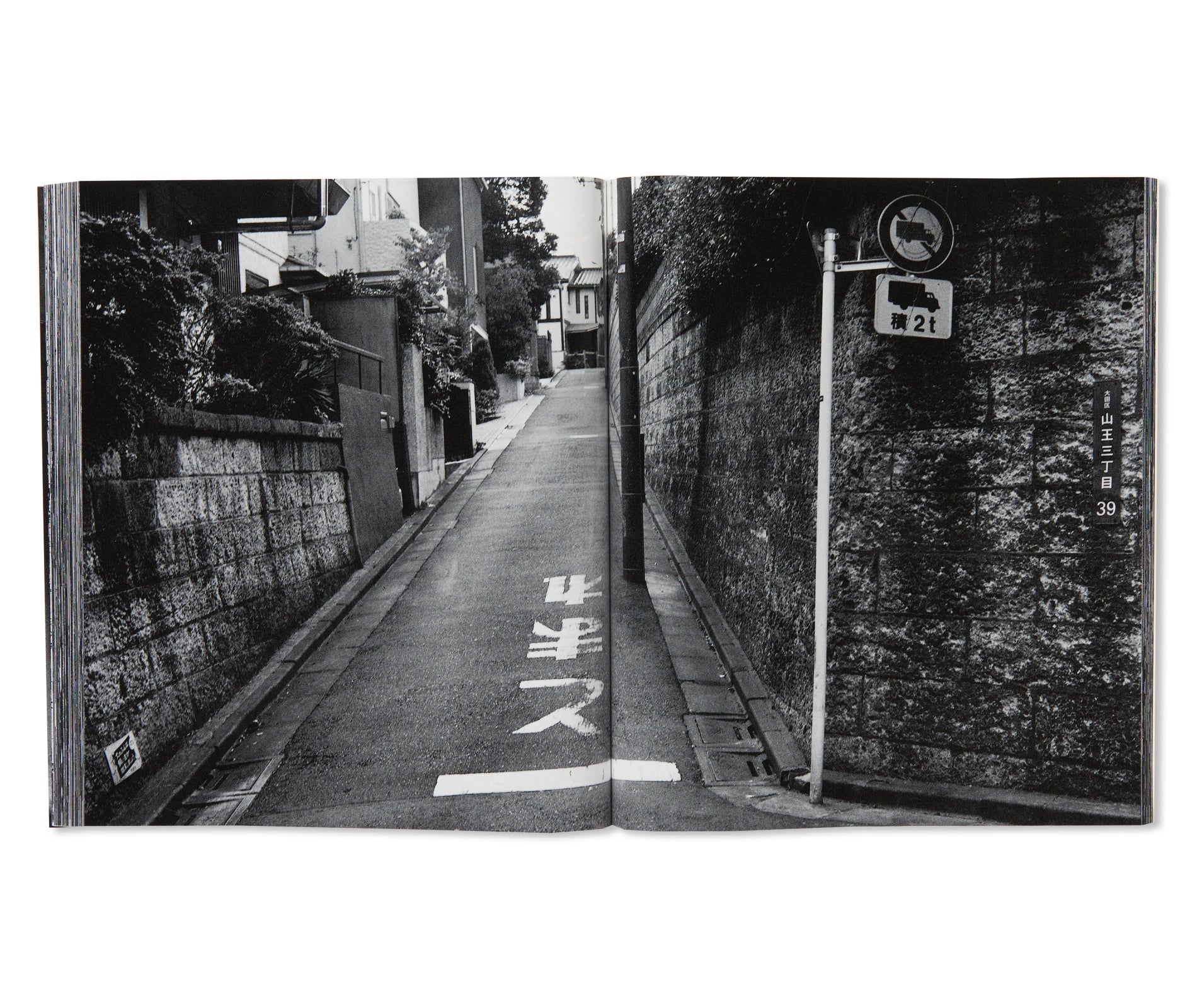 流石 / RYU U SE KI - HYSTERIC No.10 by Nobuyoshi Araki