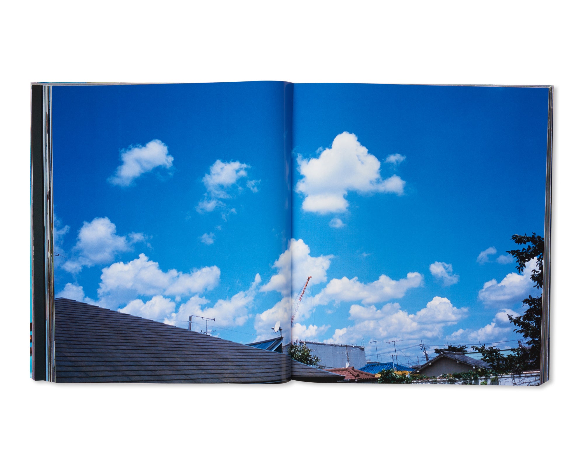 好色 / KOSHOKU by Nobuyoshi Araki