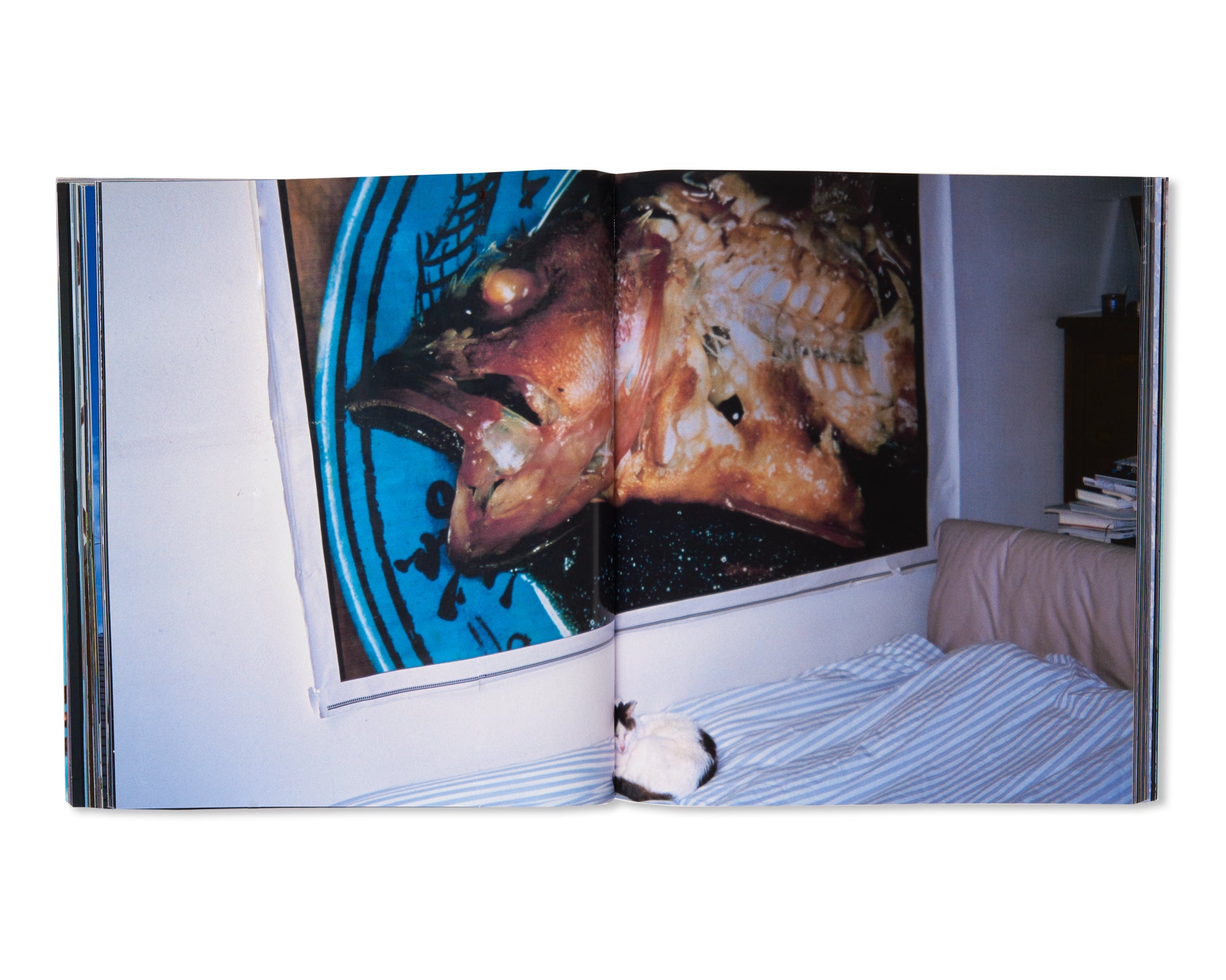 好色 / KOSHOKU by Nobuyoshi Araki