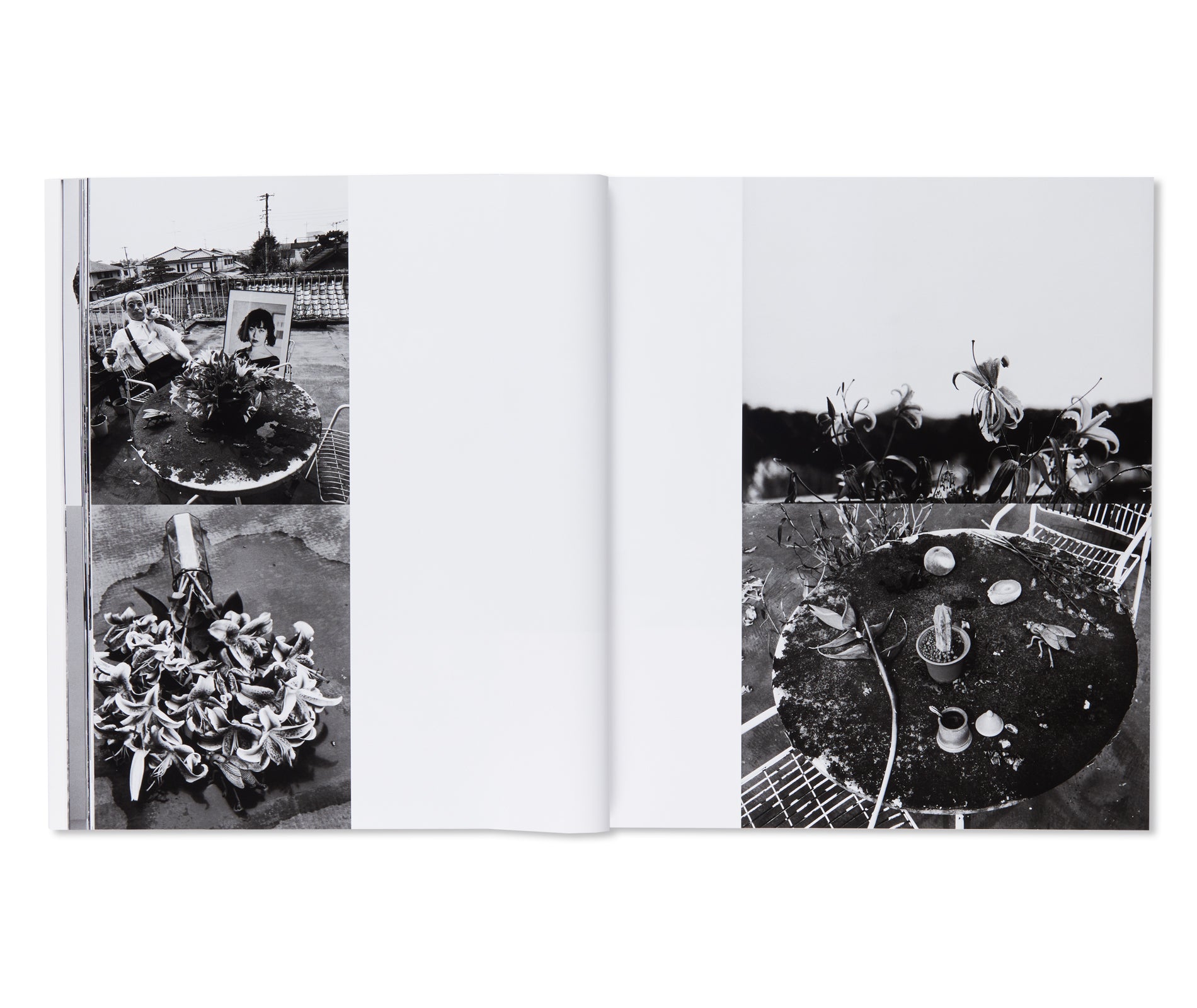 愛ノ花  / AI NO HANA by Nobuyoshi Araki