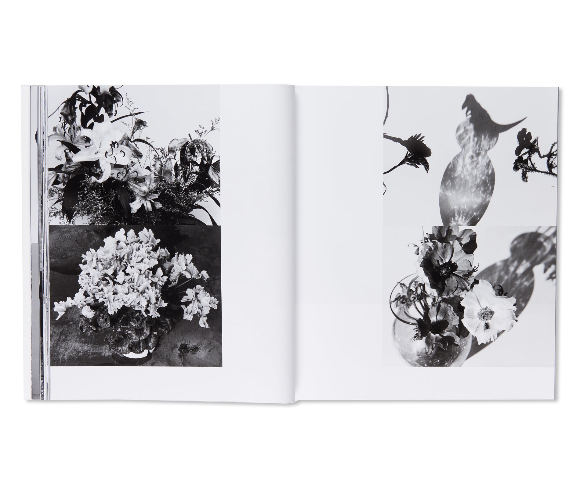 愛ノ花  / AI NO HANA by Nobuyoshi Araki