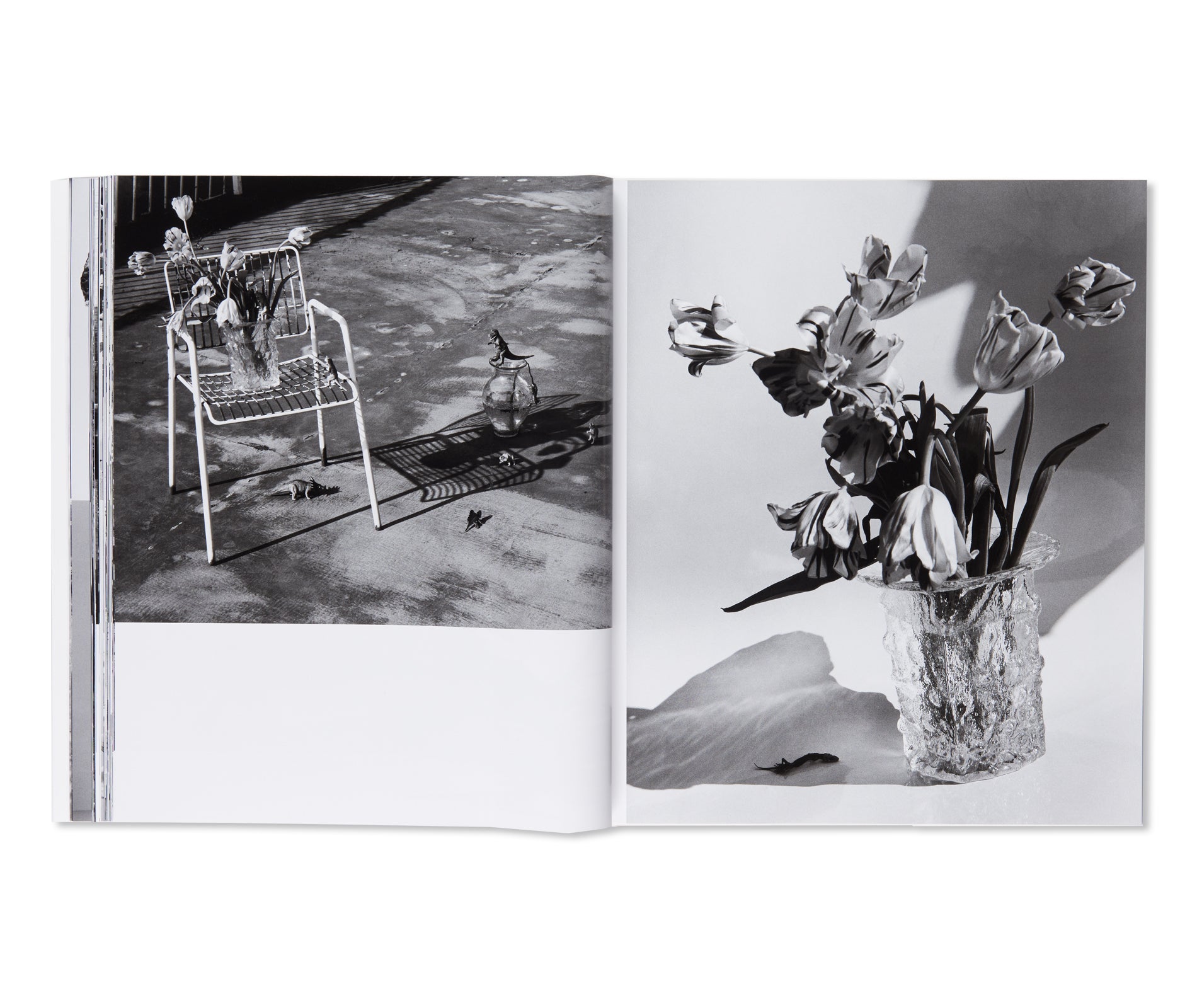 愛ノ花  / AI NO HANA by Nobuyoshi Araki