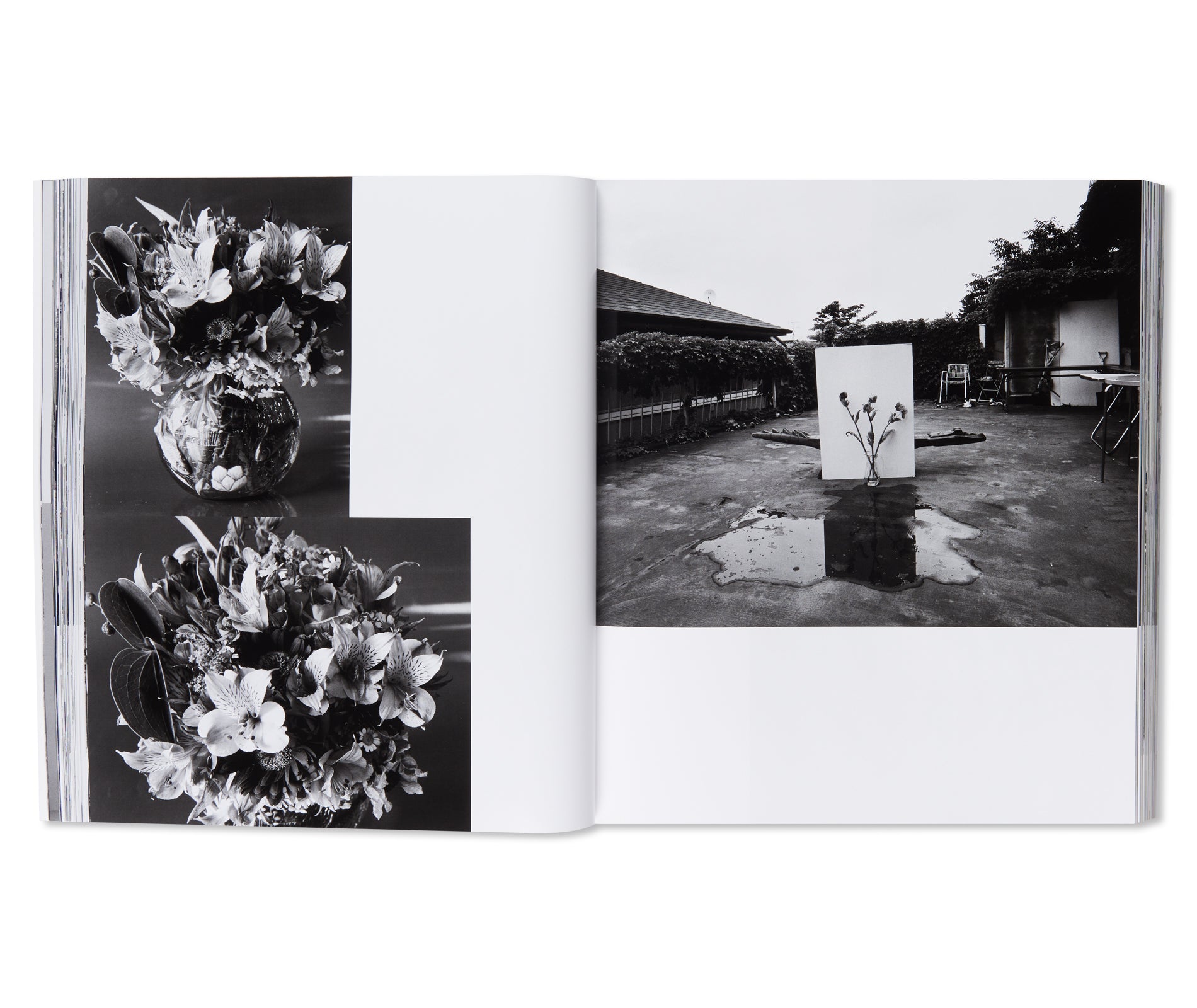 愛ノ花  / AI NO HANA by Nobuyoshi Araki