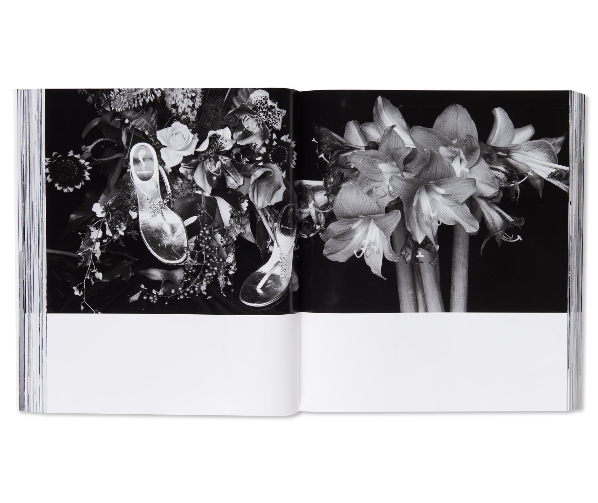 愛ノ花  / AI NO HANA by Nobuyoshi Araki