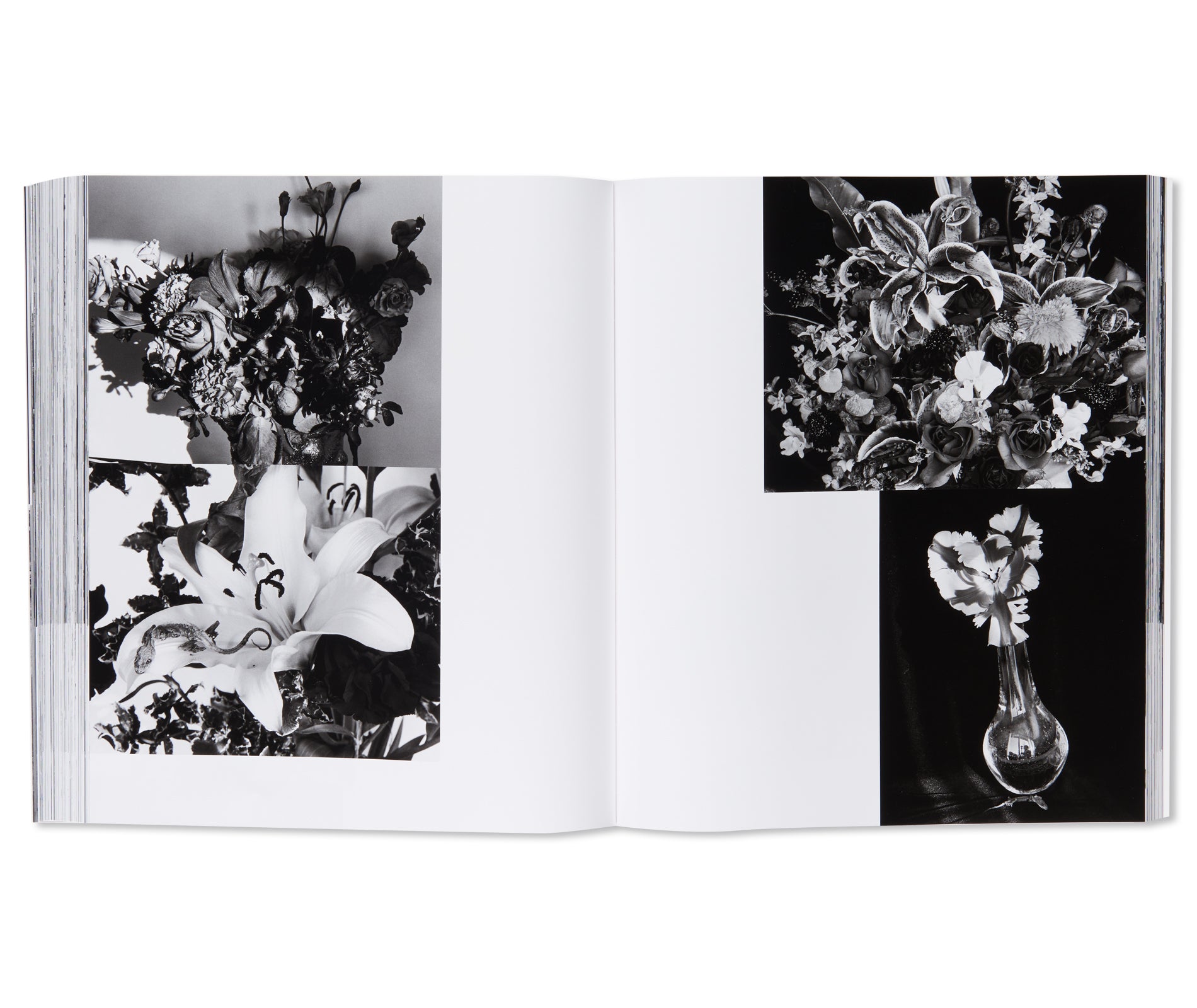 愛ノ花  / AI NO HANA by Nobuyoshi Araki