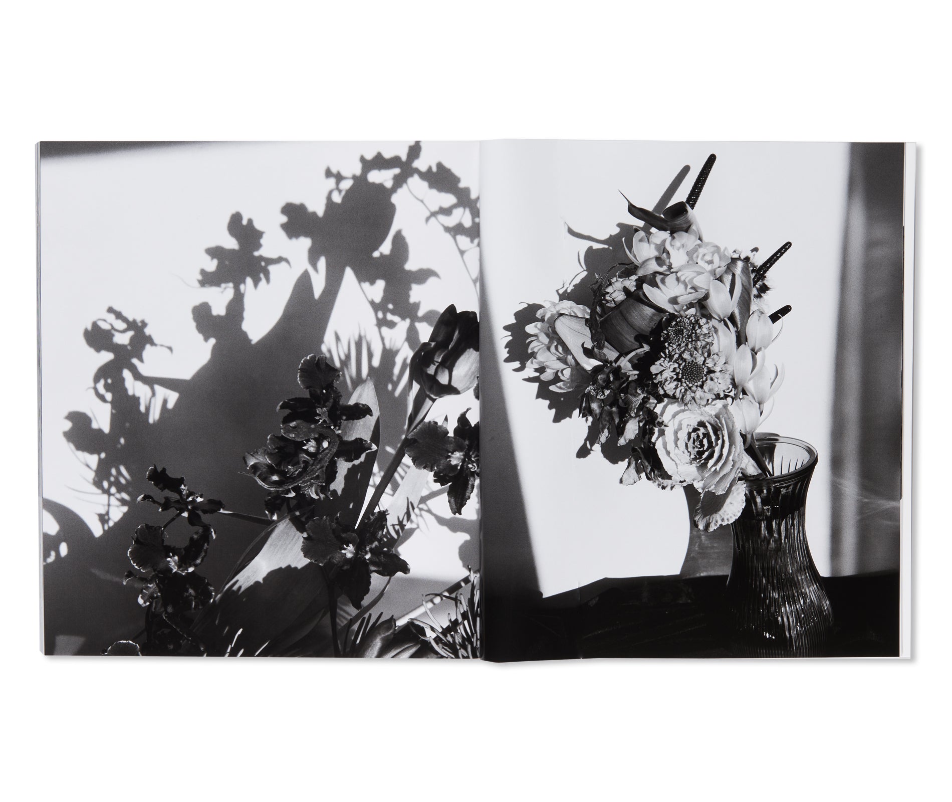 愛ノ花  / AI NO HANA by Nobuyoshi Araki