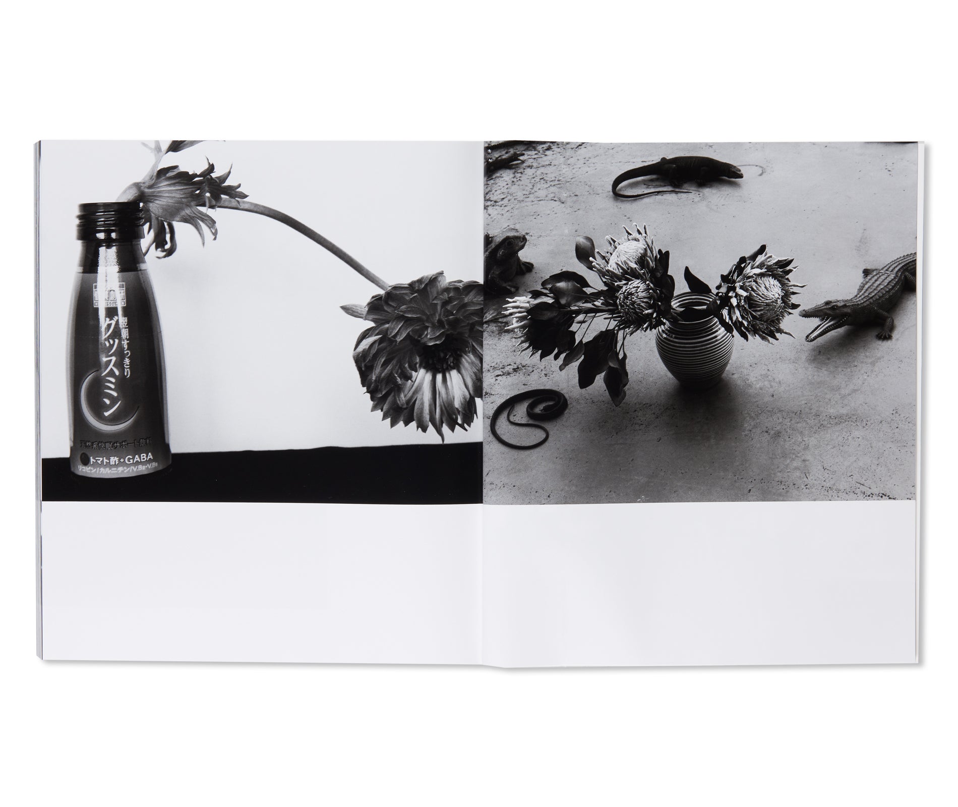 愛ノ花  / AI NO HANA by Nobuyoshi Araki