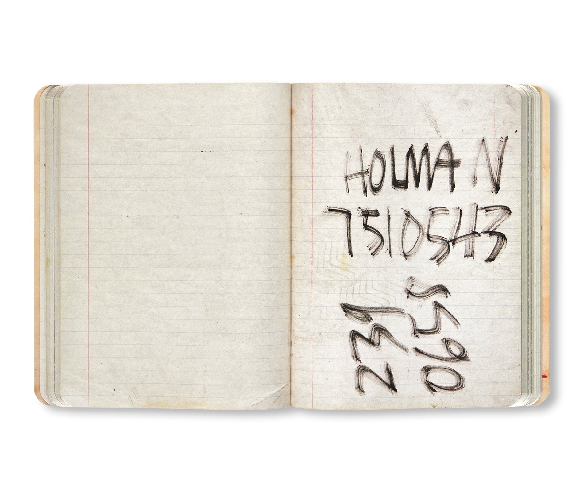 THE NOTEBOOKS by Jean-Michel Basquiat