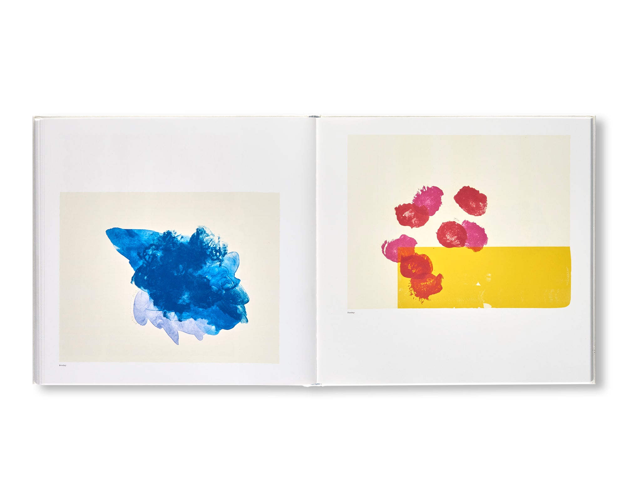 PRINTS by Richard Tuttle