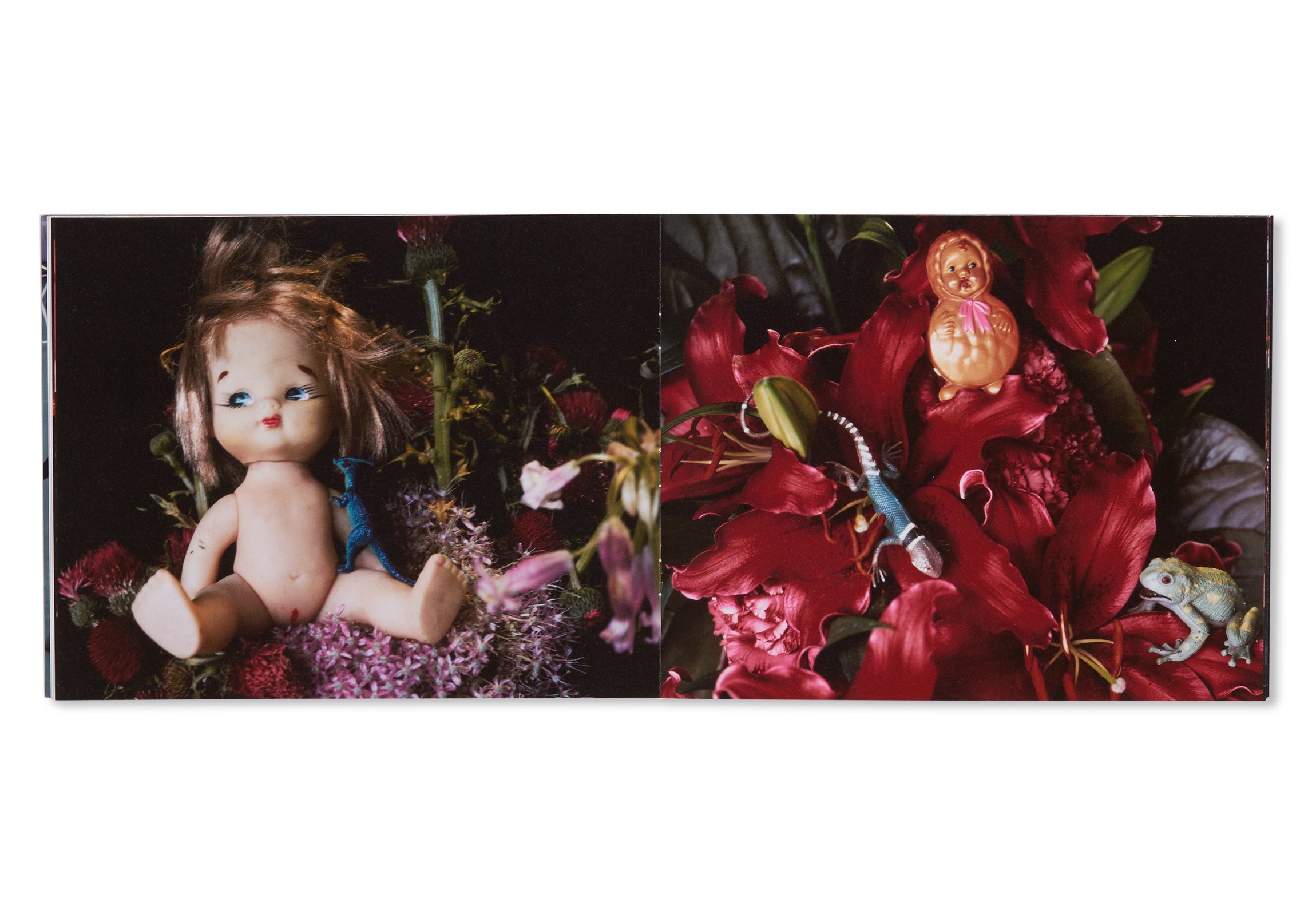 楽園 / RAKUEN by Nobuyoshi Araki [SIGNED]