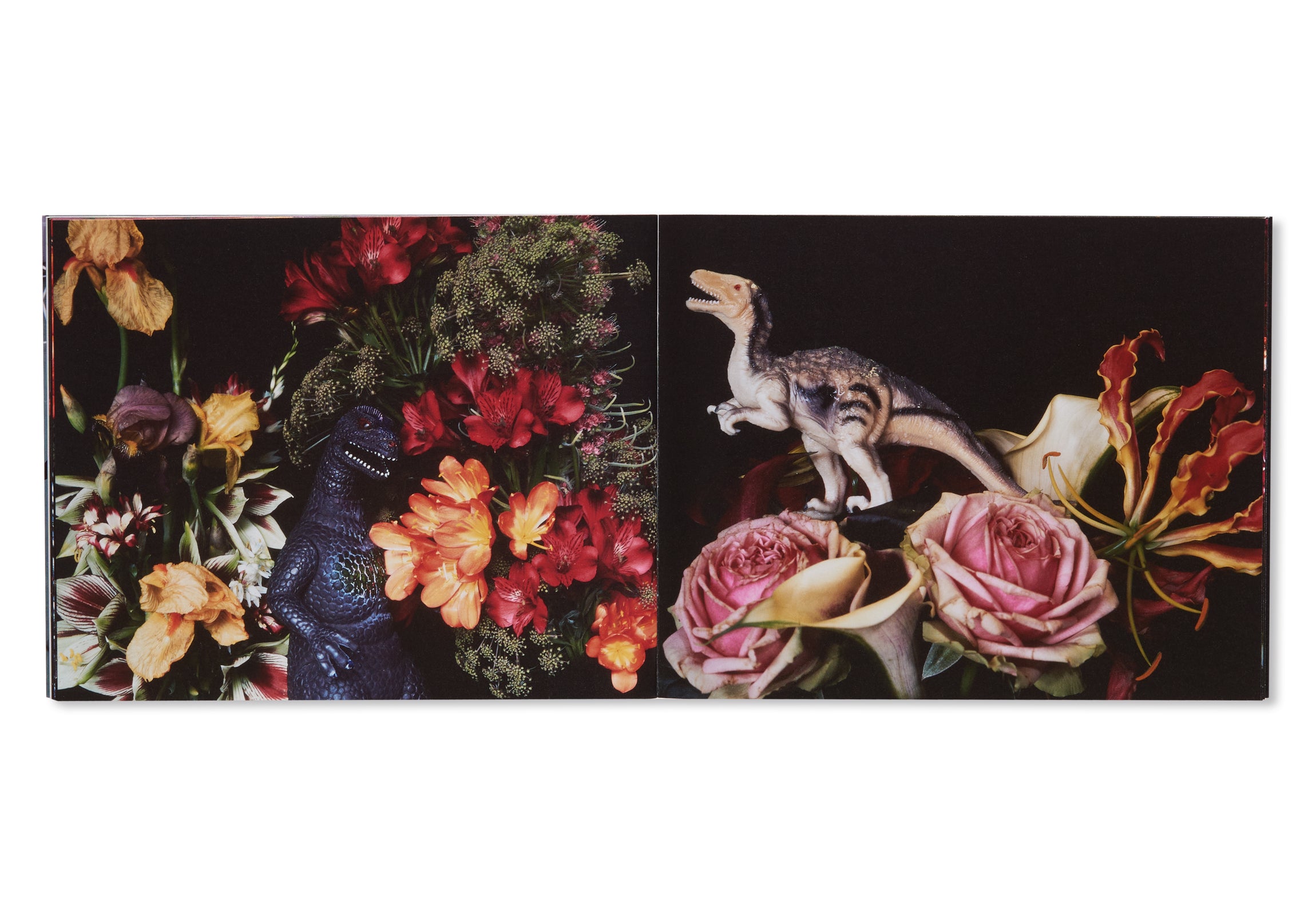 楽園 / RAKUEN by Nobuyoshi Araki [SIGNED]