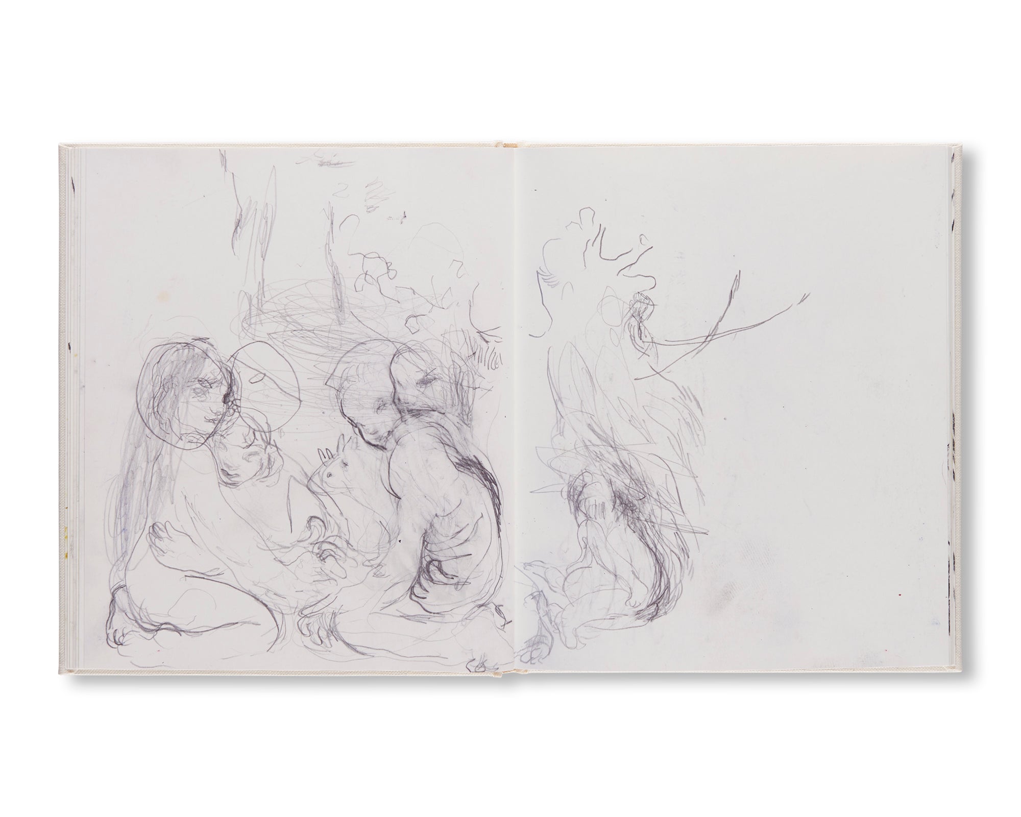 SKETCHBOOK II (A MIDSUMMER NIGHT'S DREAM) by Rita Ackermann