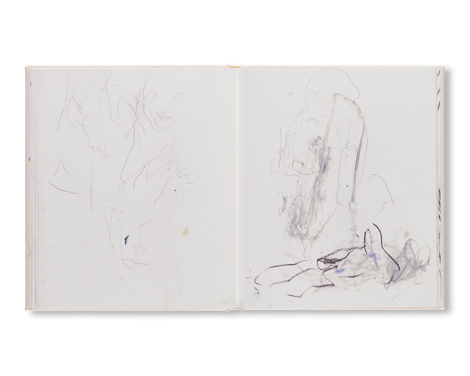 SKETCHBOOK II (A MIDSUMMER NIGHT'S DREAM) by Rita Ackermann