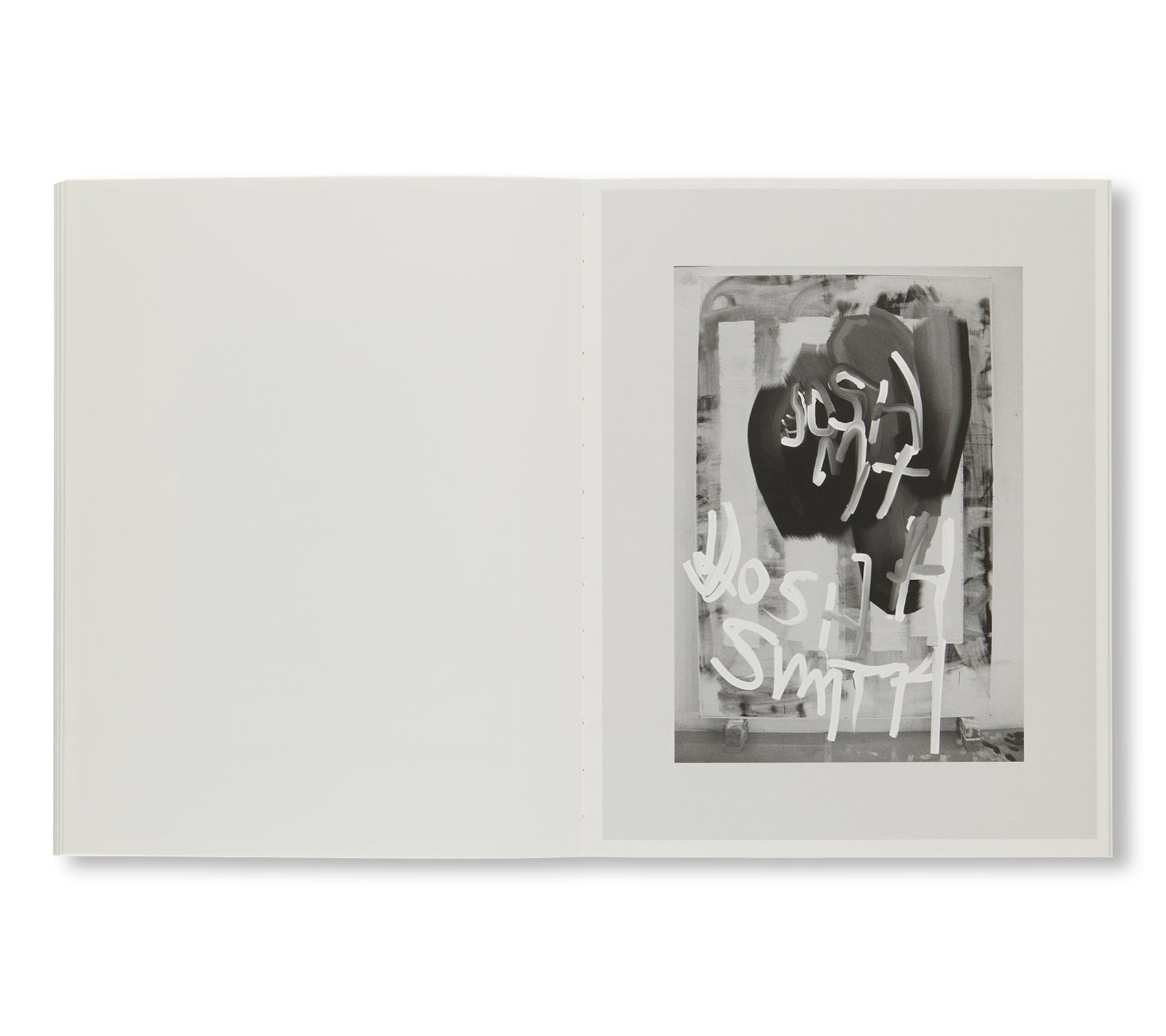 CAN YOUR MONKEY DO THE DOG by Josh Smith, Christopher Wool