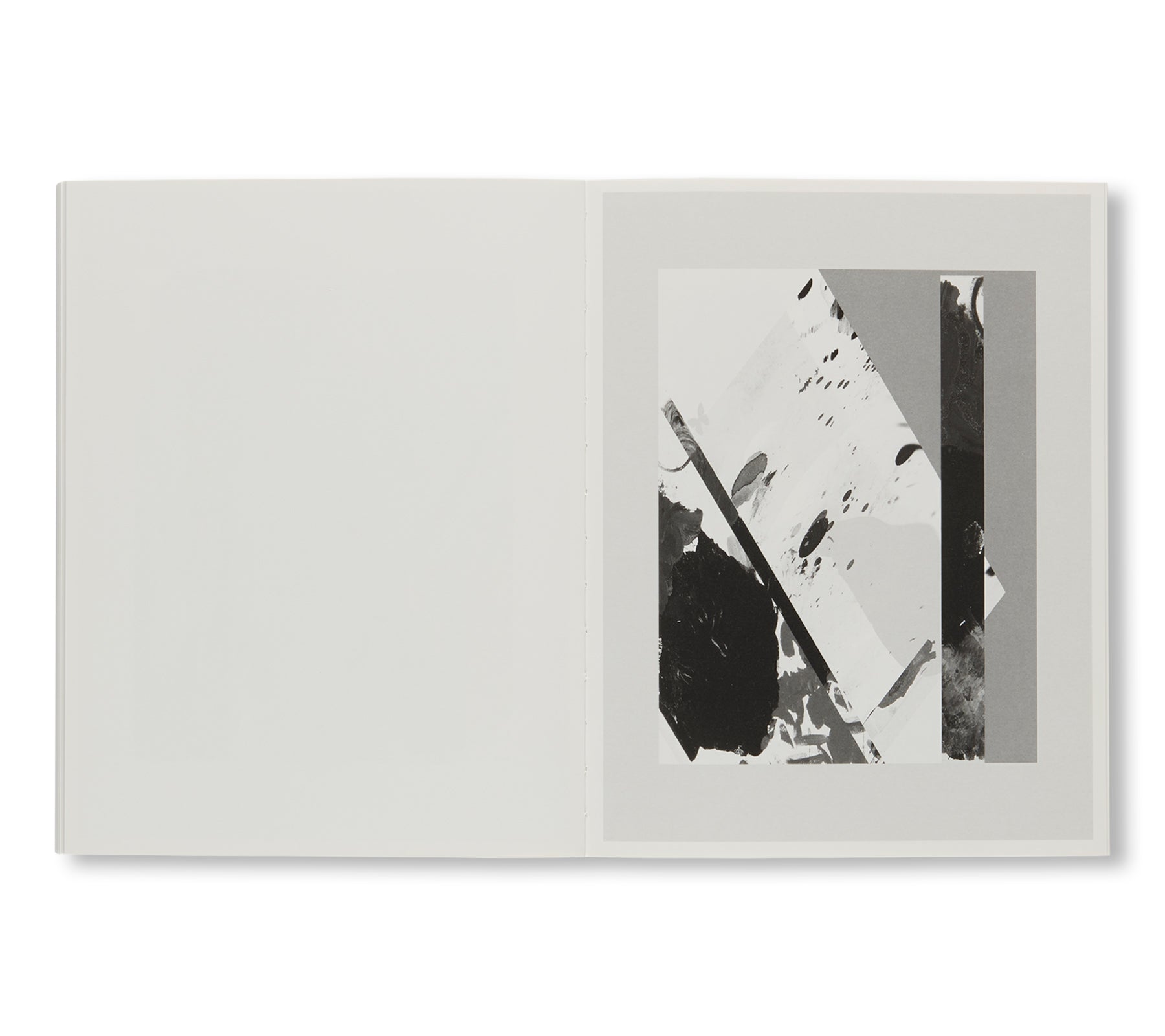 CAN YOUR MONKEY DO THE DOG by Josh Smith, Christopher Wool