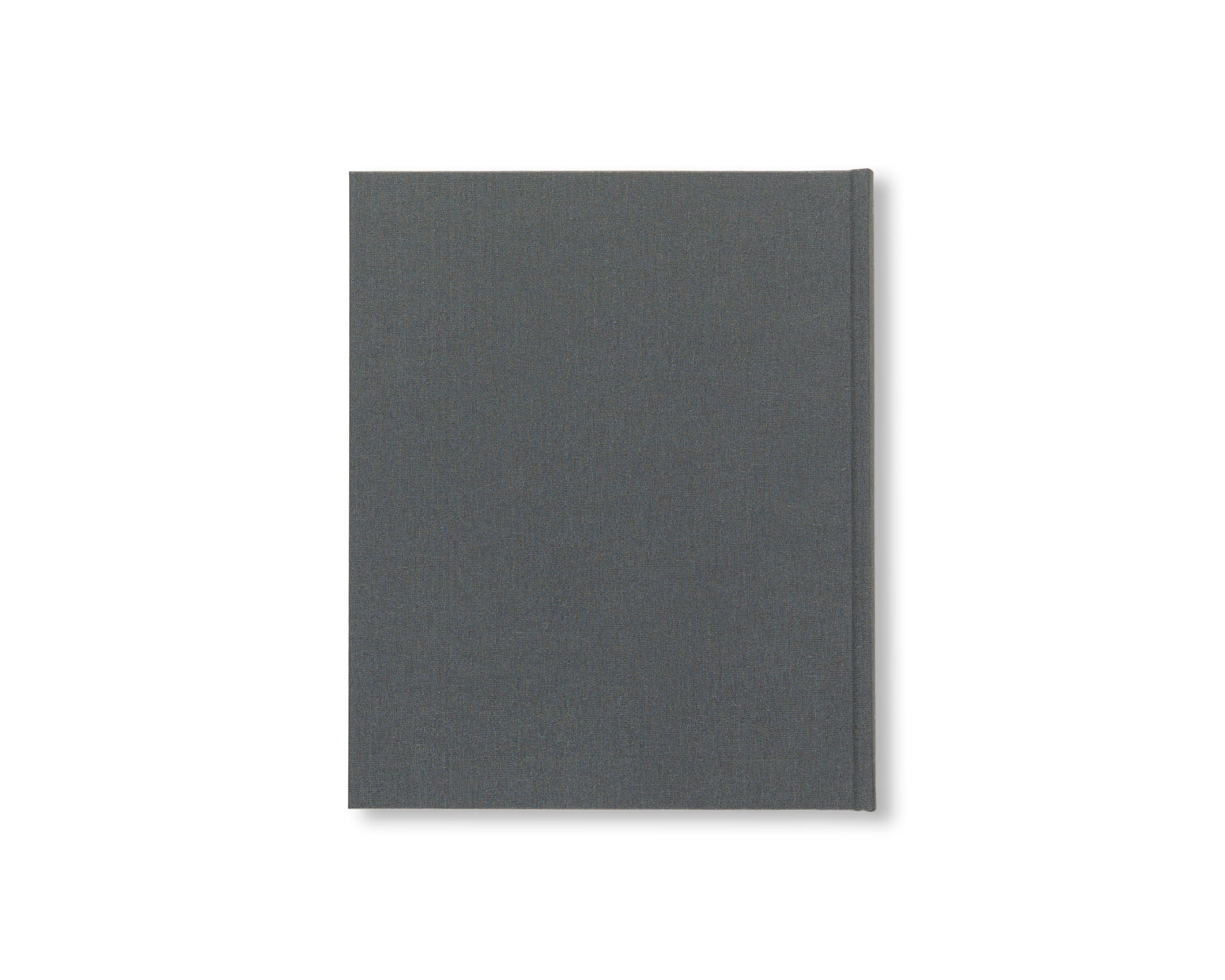 JASPER JOHNS: CATALOGUE RAISONNÉ OF PAINTING AND SCULPTURE by Roberta Bernstein