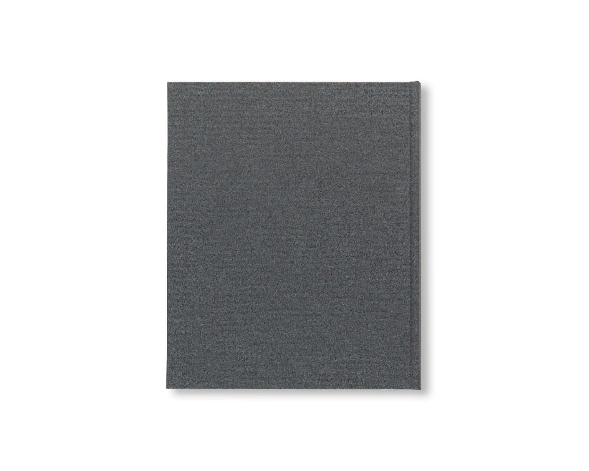 JASPER JOHNS: CATALOGUE RAISONNÉ OF PAINTING AND SCULPTURE by Roberta Bernstein