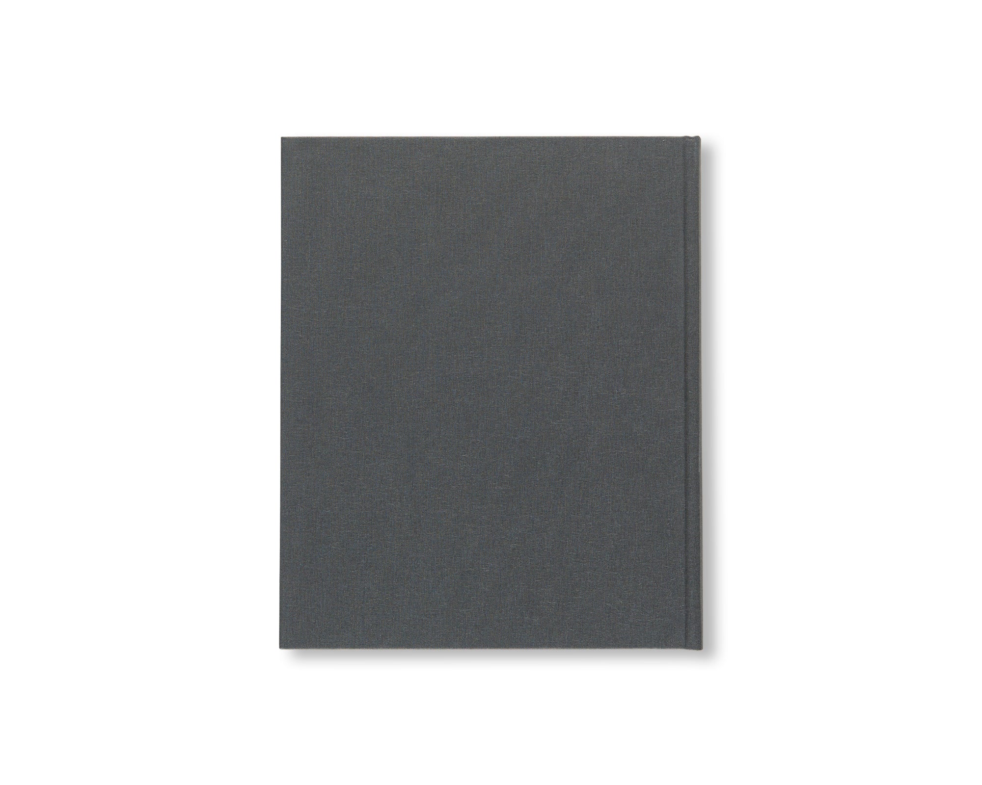 JASPER JOHNS: CATALOGUE RAISONNÉ OF PAINTING AND SCULPTURE by Roberta Bernstein