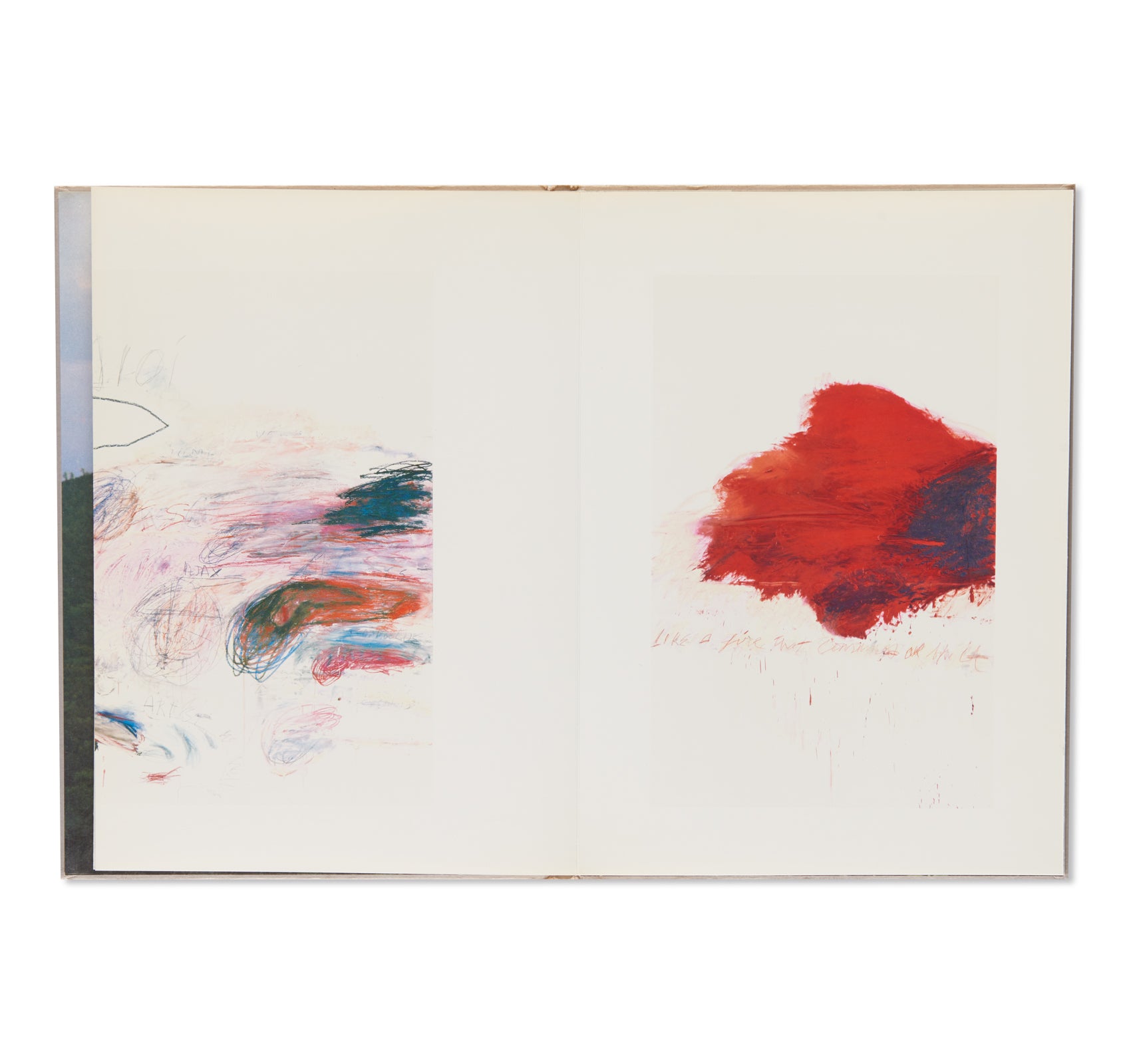 FIFTY DAYS AT ILIAM by Cy Twombly