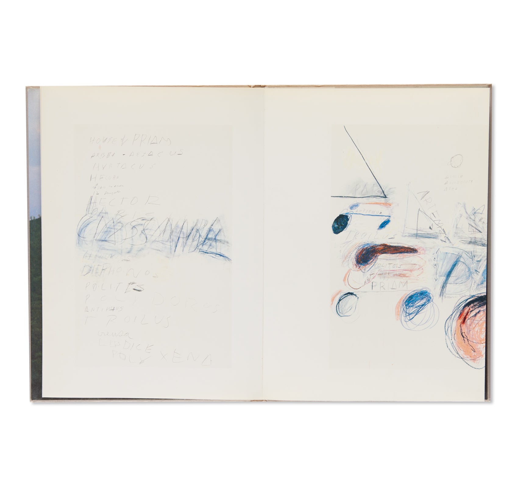 FIFTY DAYS AT ILIAM by Cy Twombly