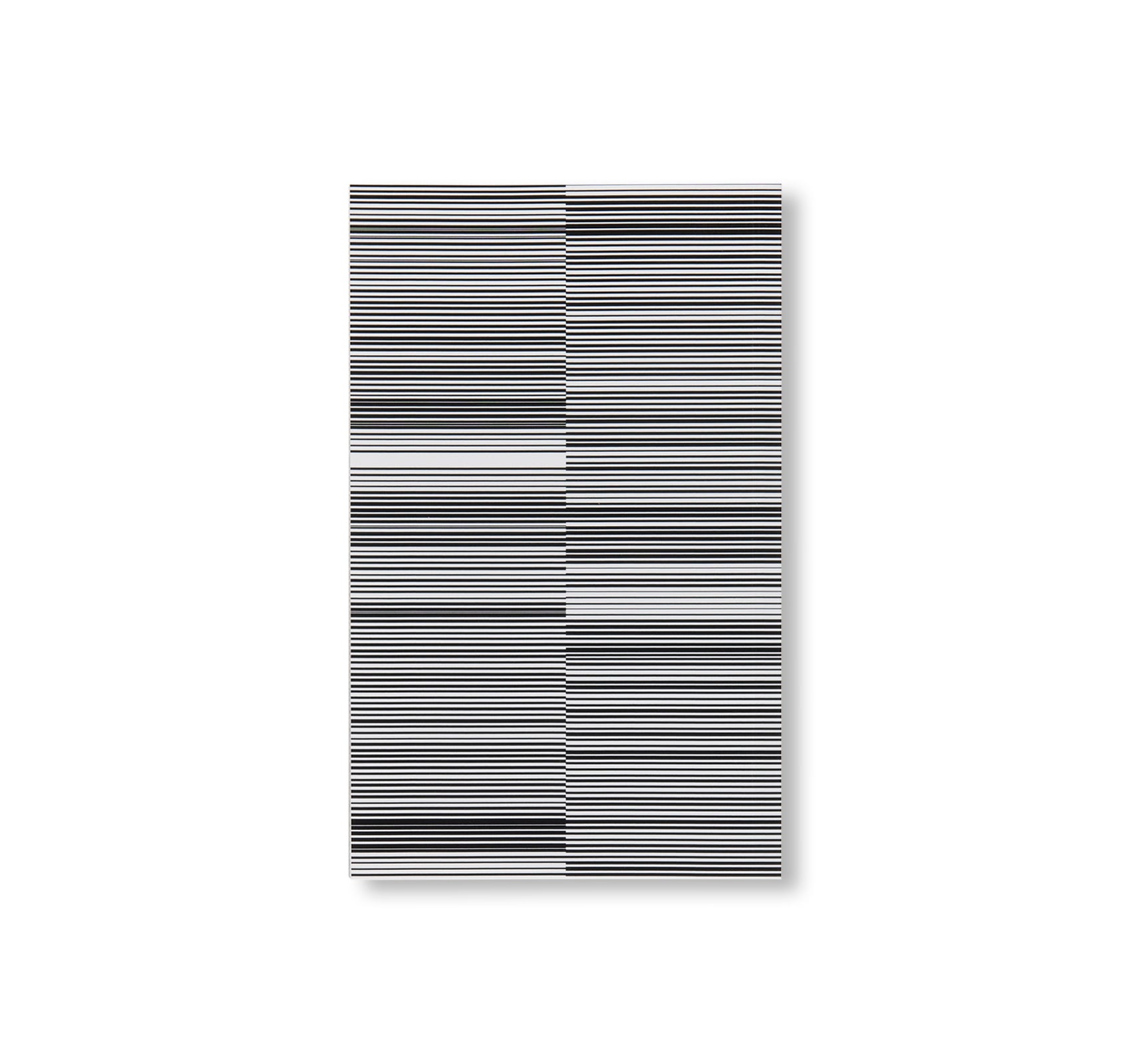 TEST PATTERN by Ryoji Ikeda