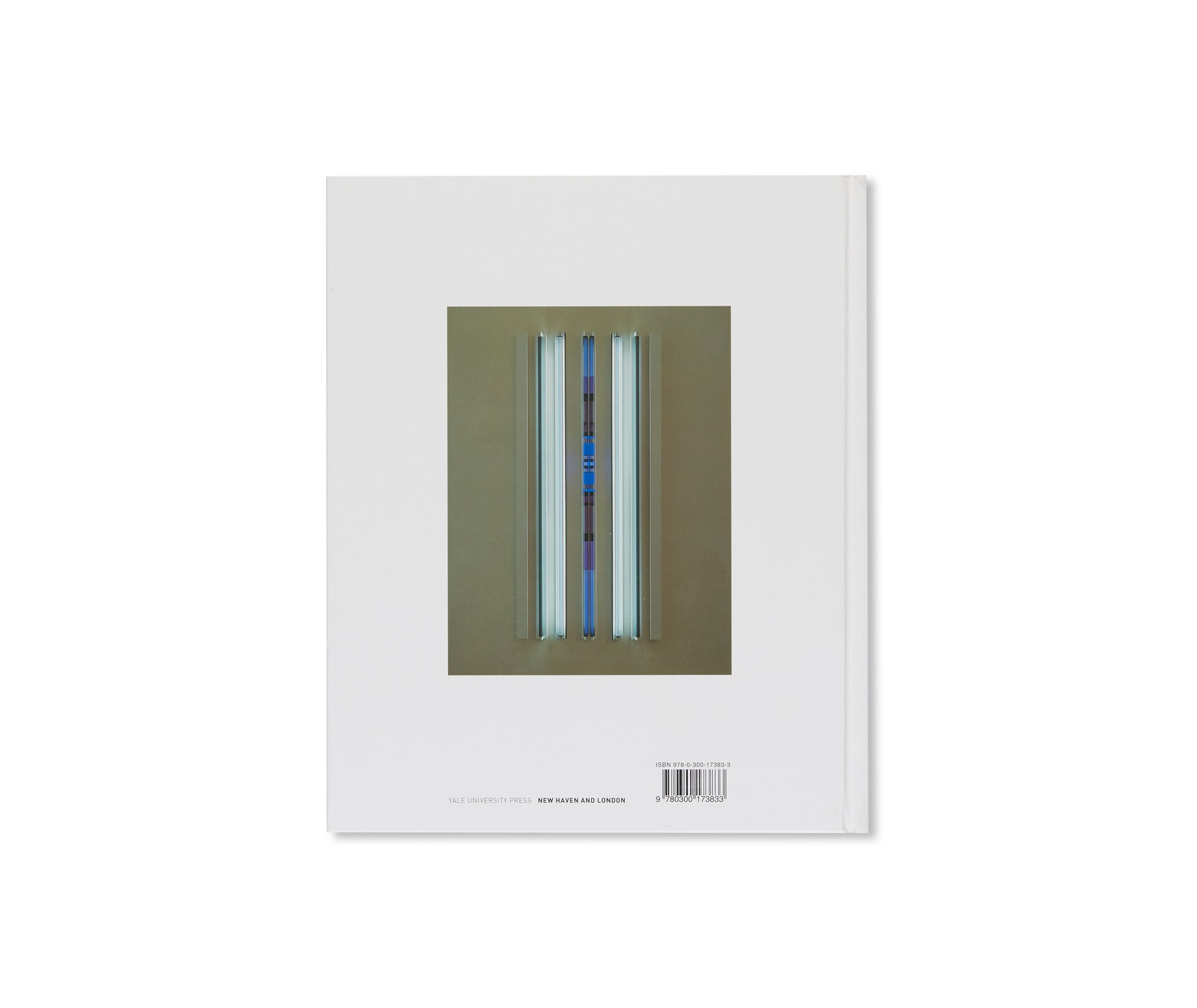 A CONDITIONAL ART by Robert Irwin